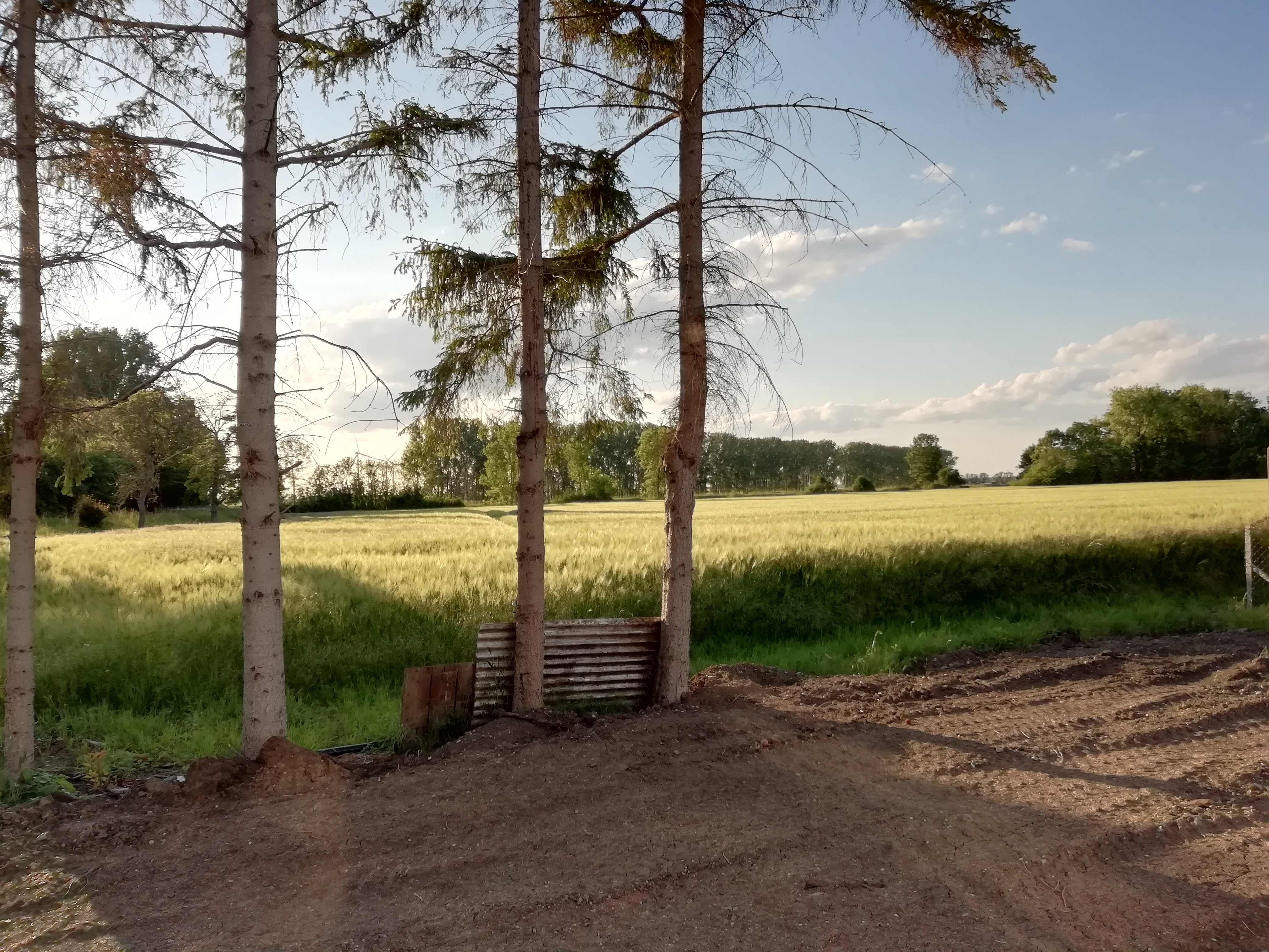 haus-bilderthread-zeigt-her-eure-hausbilder-326453-1.jpg