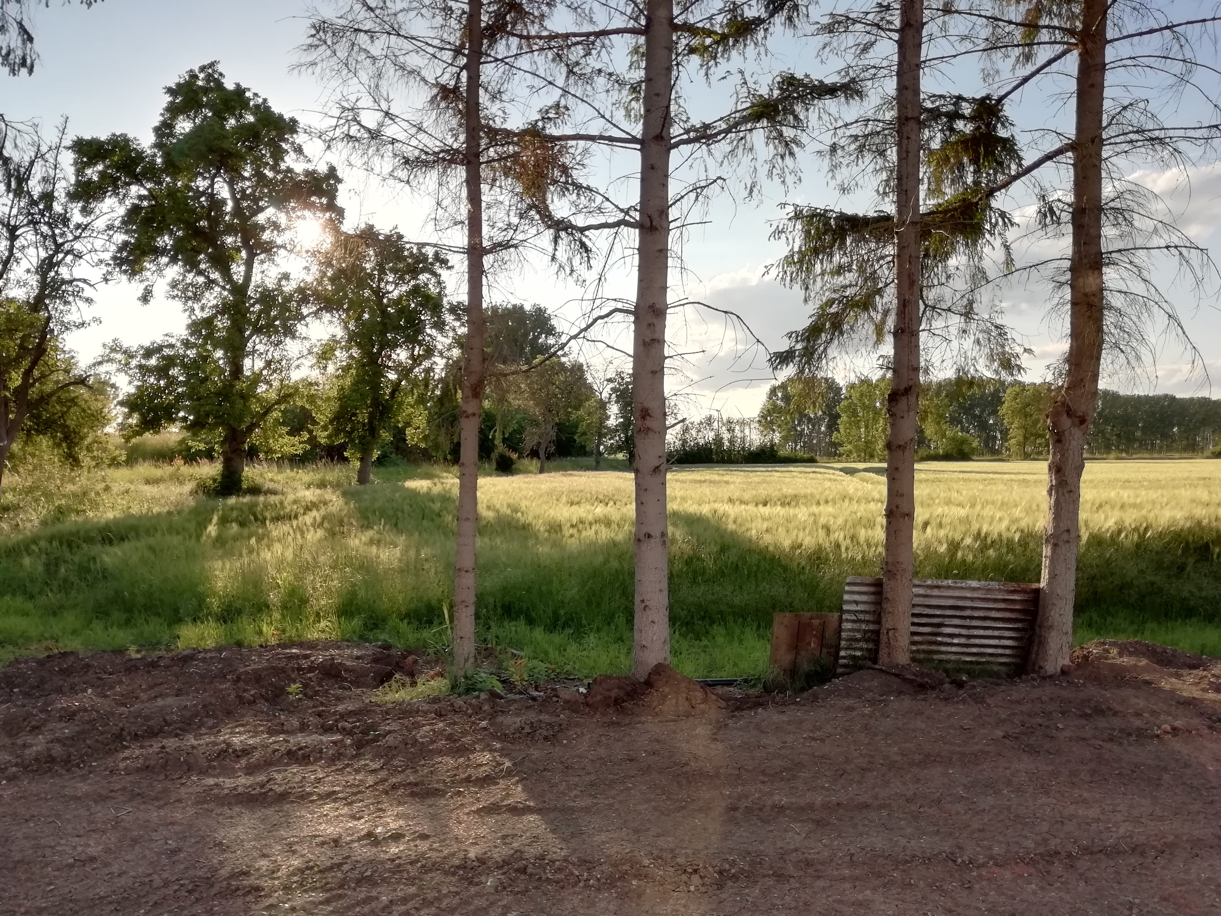 haus-bilderthread-zeigt-her-eure-hausbilder-326453-2.jpg