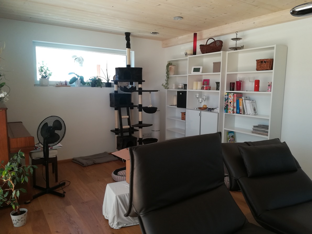 haus-bilderthread-zeigt-her-eure-hausbilder-338726-2.jpg