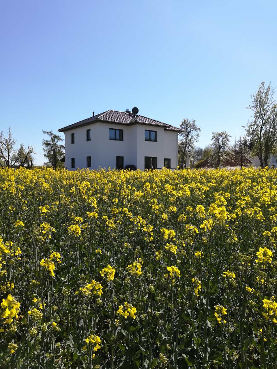 haus-bilderthread-zeigt-her-eure-hausbilder-395392-1.jpg
