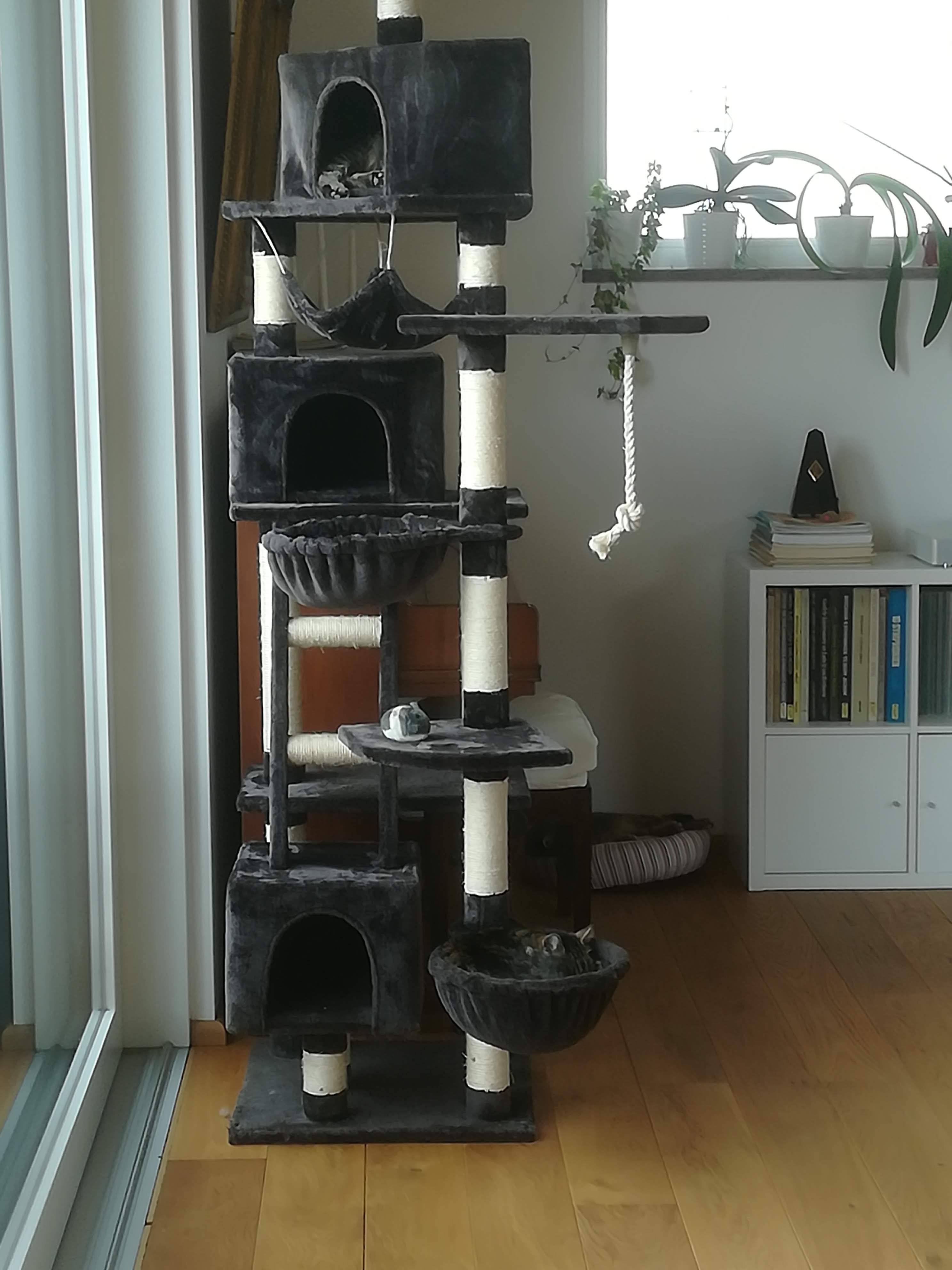 haus-bilderthread-zeigt-her-eure-hausbilder-399383-9.jpg