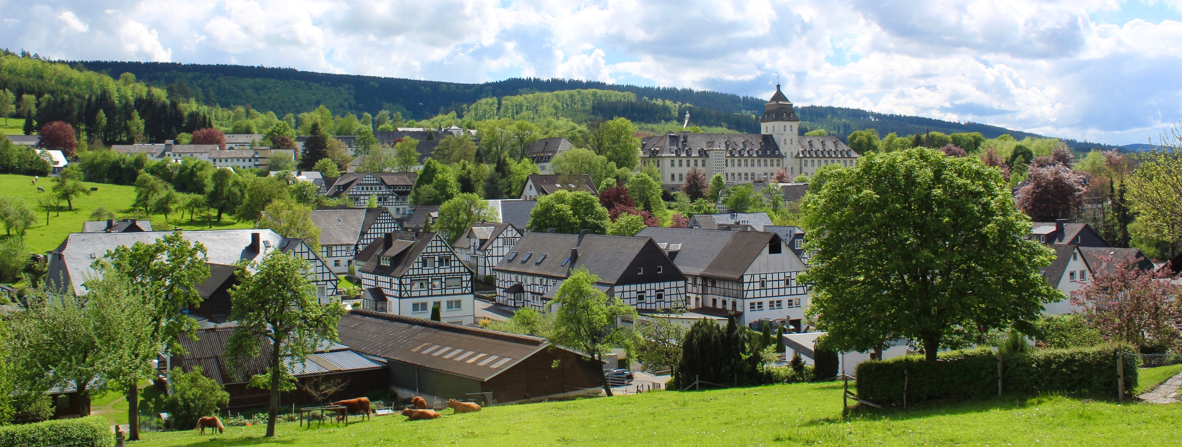 haus-bilderthread-zeigt-her-eure-hausbilder-481120-2.jpg