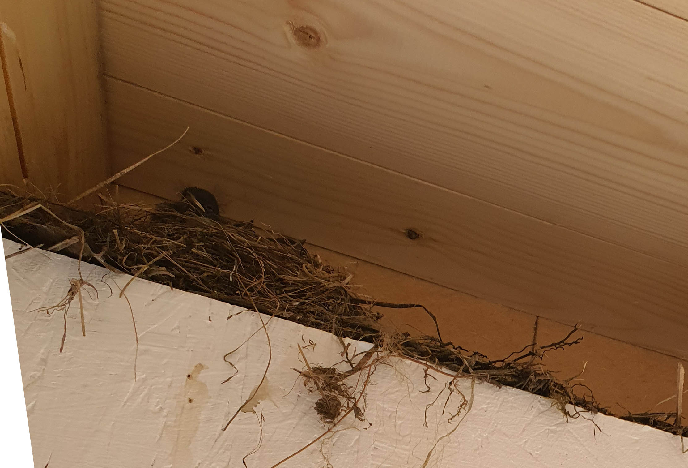 haus-bilderthread-zeigt-her-eure-hausbilder-502975-1.jpg