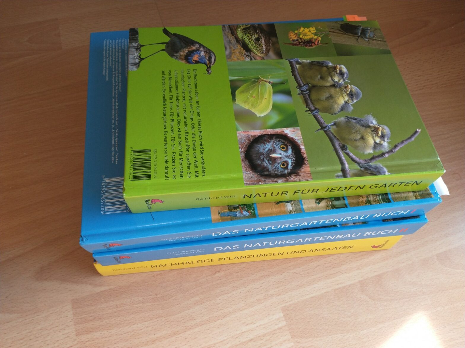 haus-bilderthread-zeigt-her-eure-hausbilder-587953-1.png