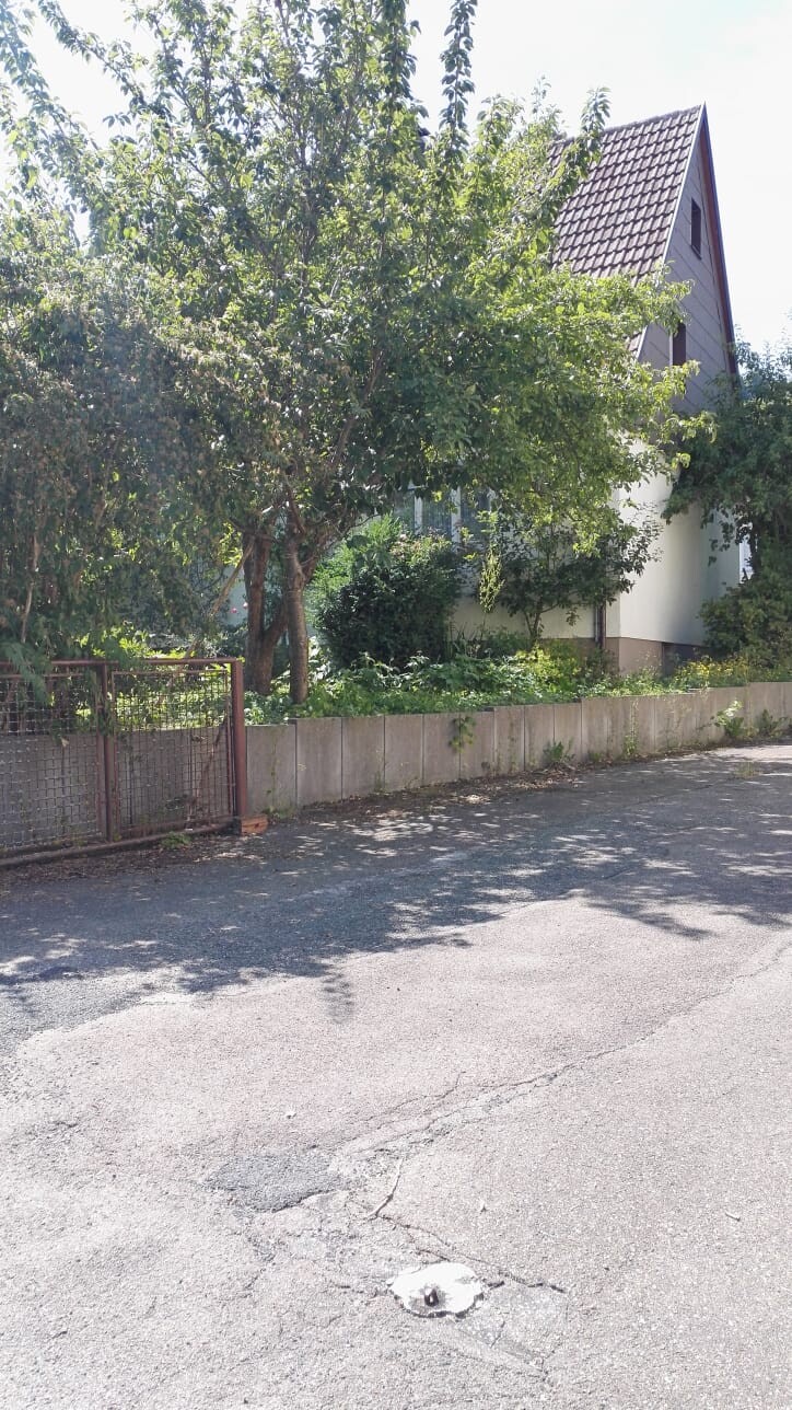 Straßenansicht: großer Baum am Gartenzaun, Betonmauer, Haus mit Spitzdach im Hintergrund