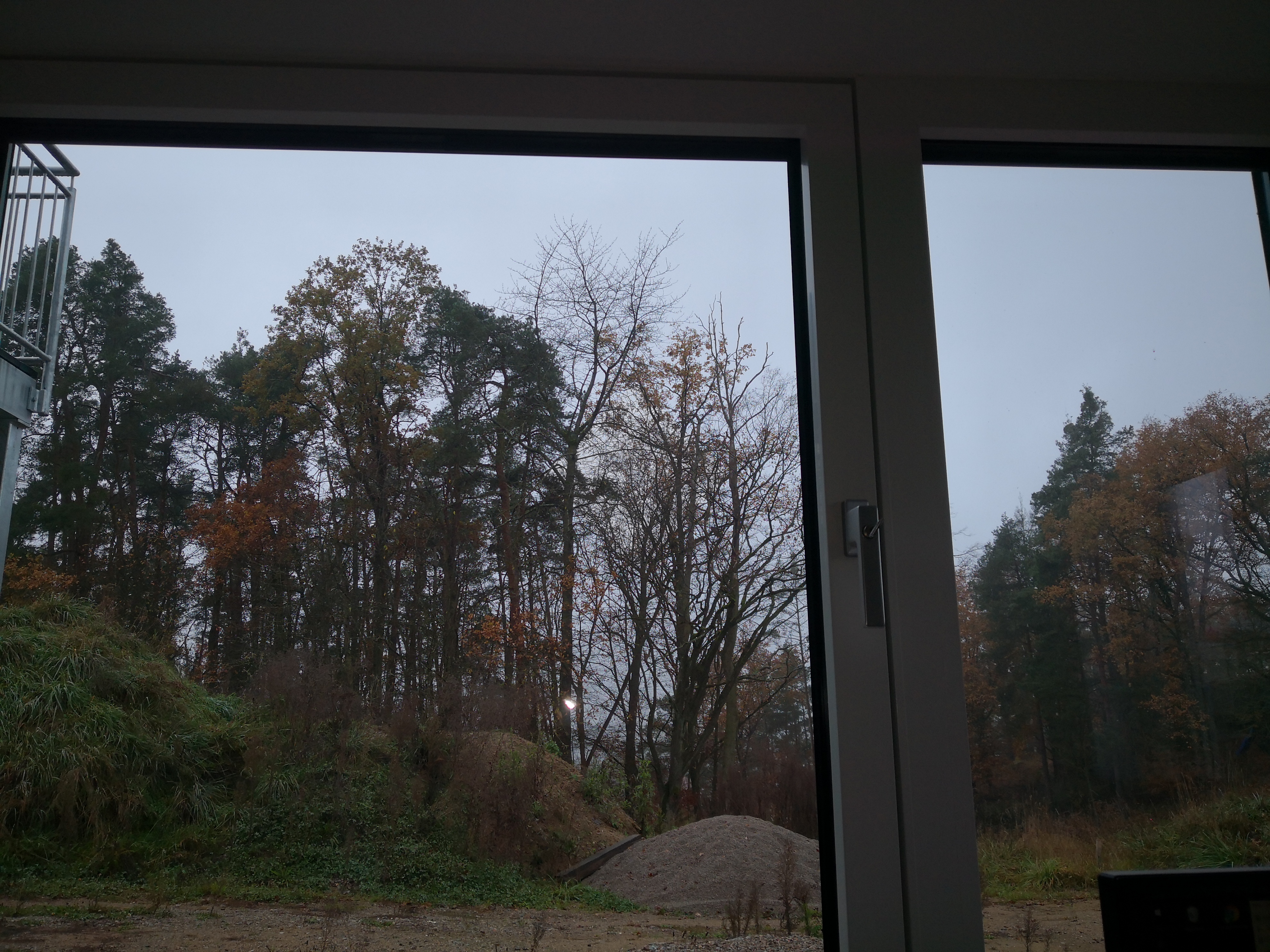 IMG_20201111_111026.jpg