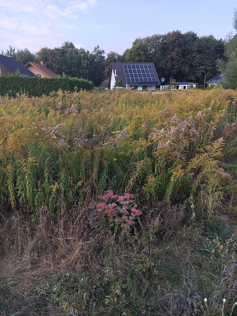 Wohnhaus mit Solaranlage auf dem Dach vor ländlicher Felderlandschaft