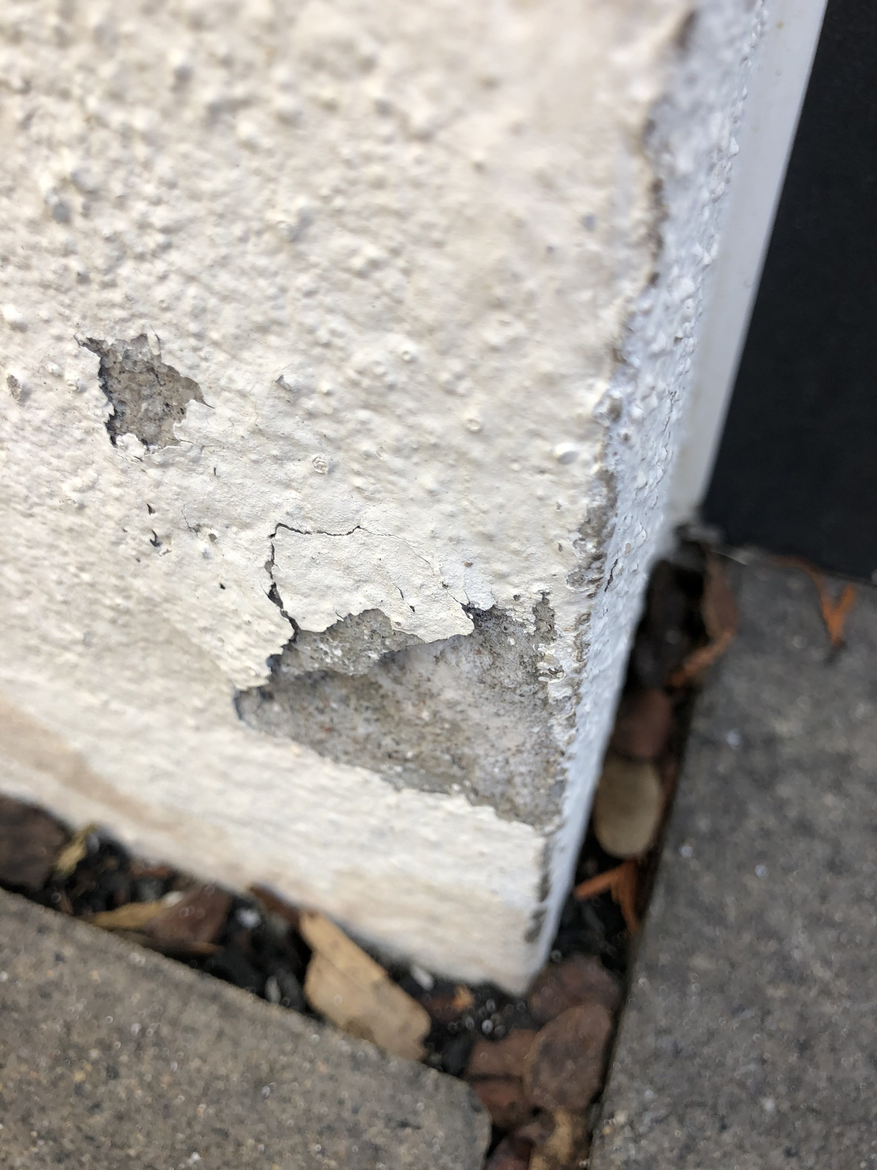 haus-schimmelt-muss-schimmel-entfernt-werden-378132-1.jpeg