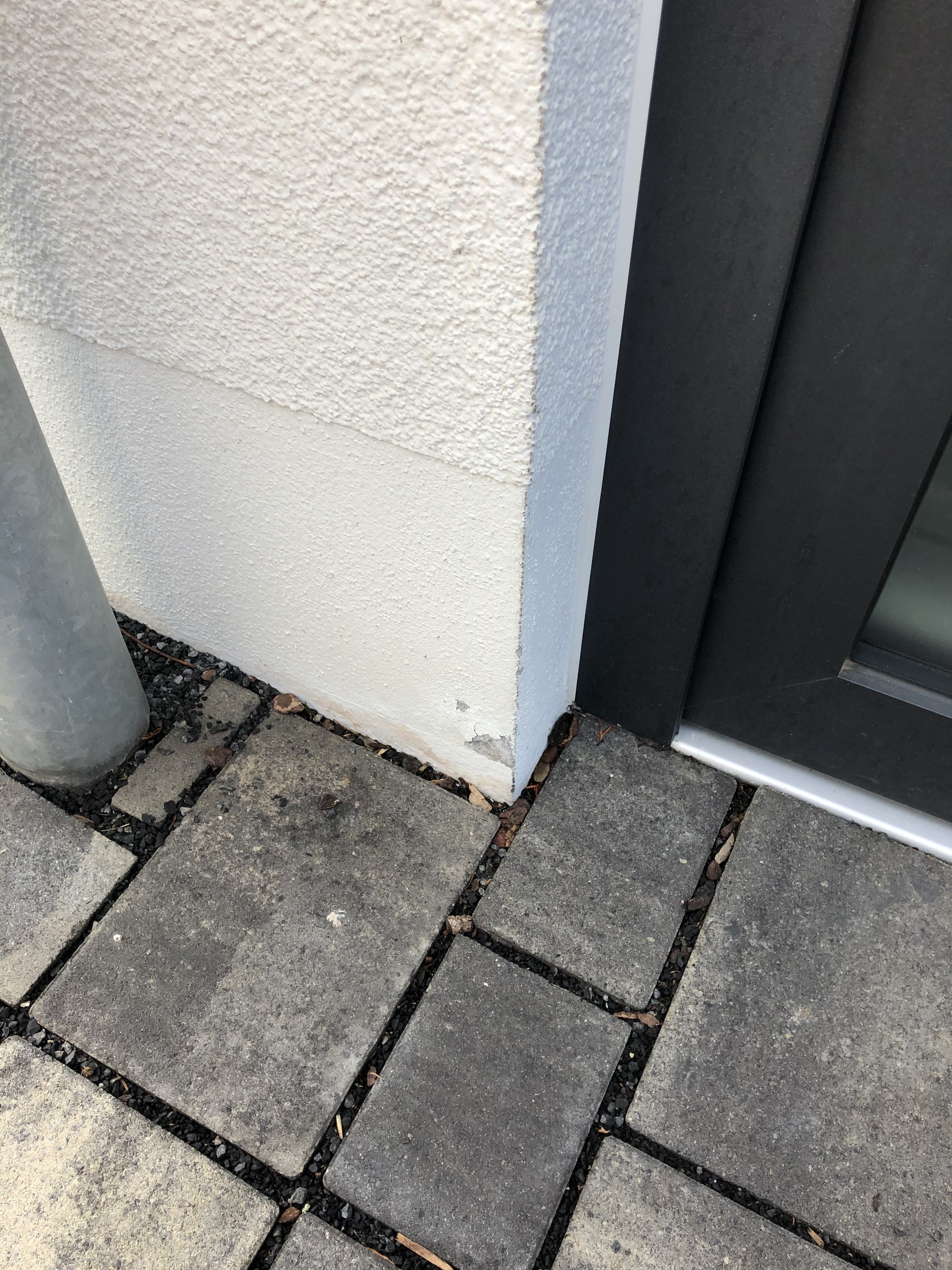 haus-schimmelt-muss-schimmel-entfernt-werden-378132-3.jpeg