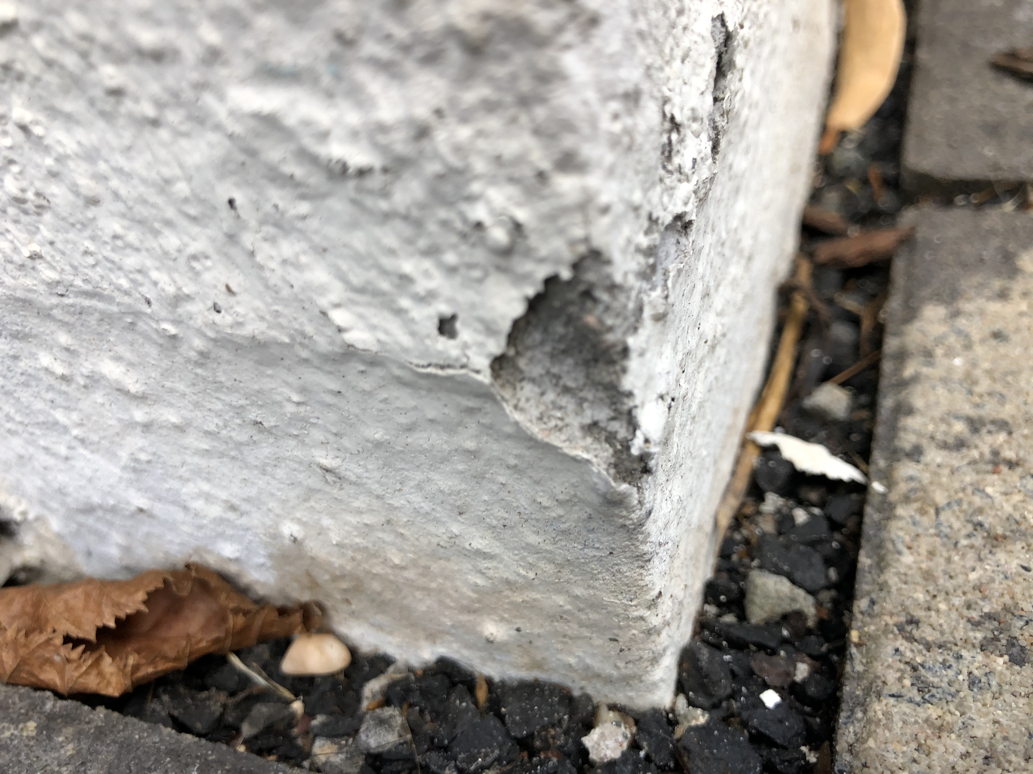 haus-schimmelt-muss-schimmel-entfernt-werden-378132-4.jpeg