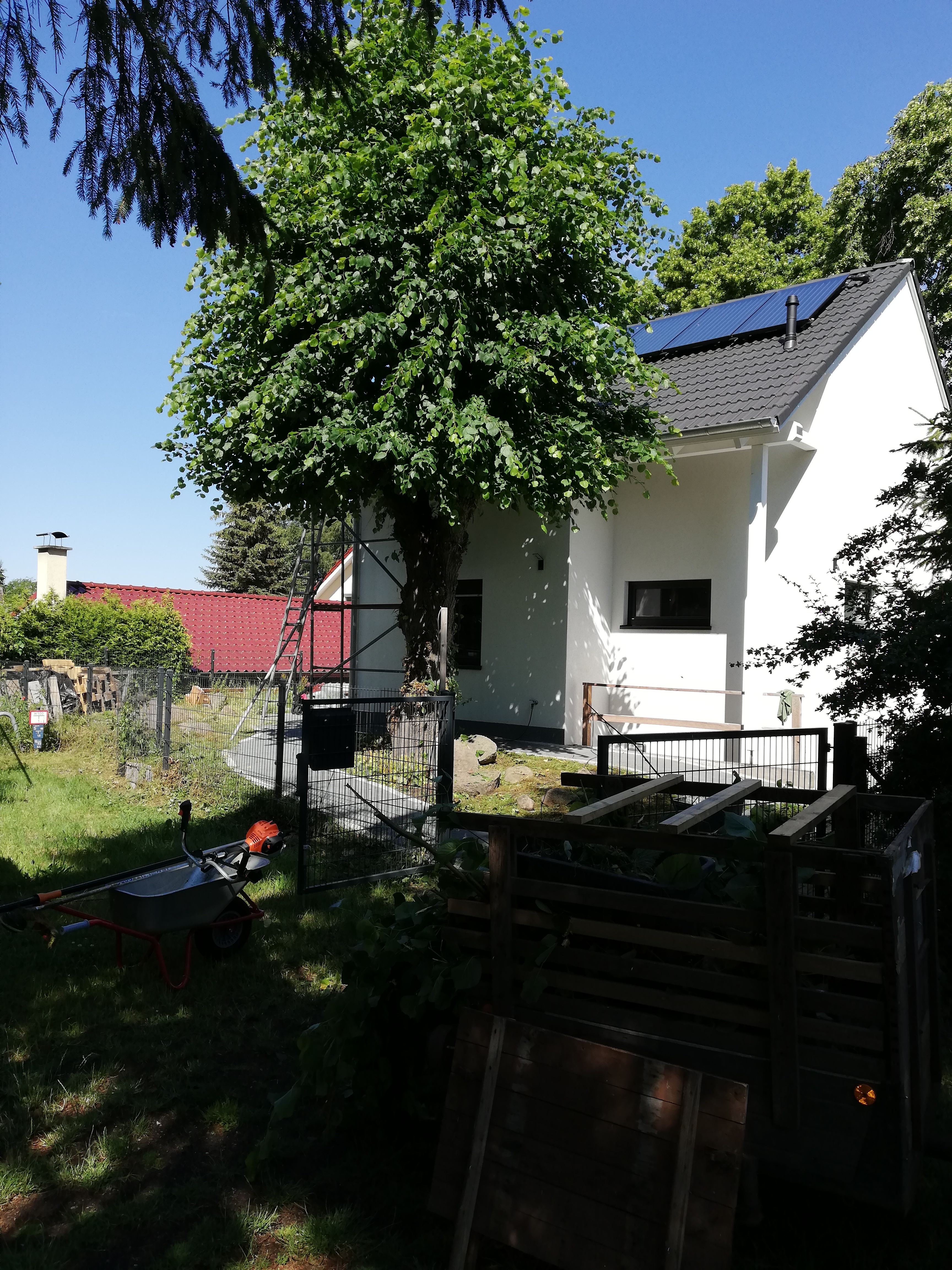 IMG_20190614_102307.jpg