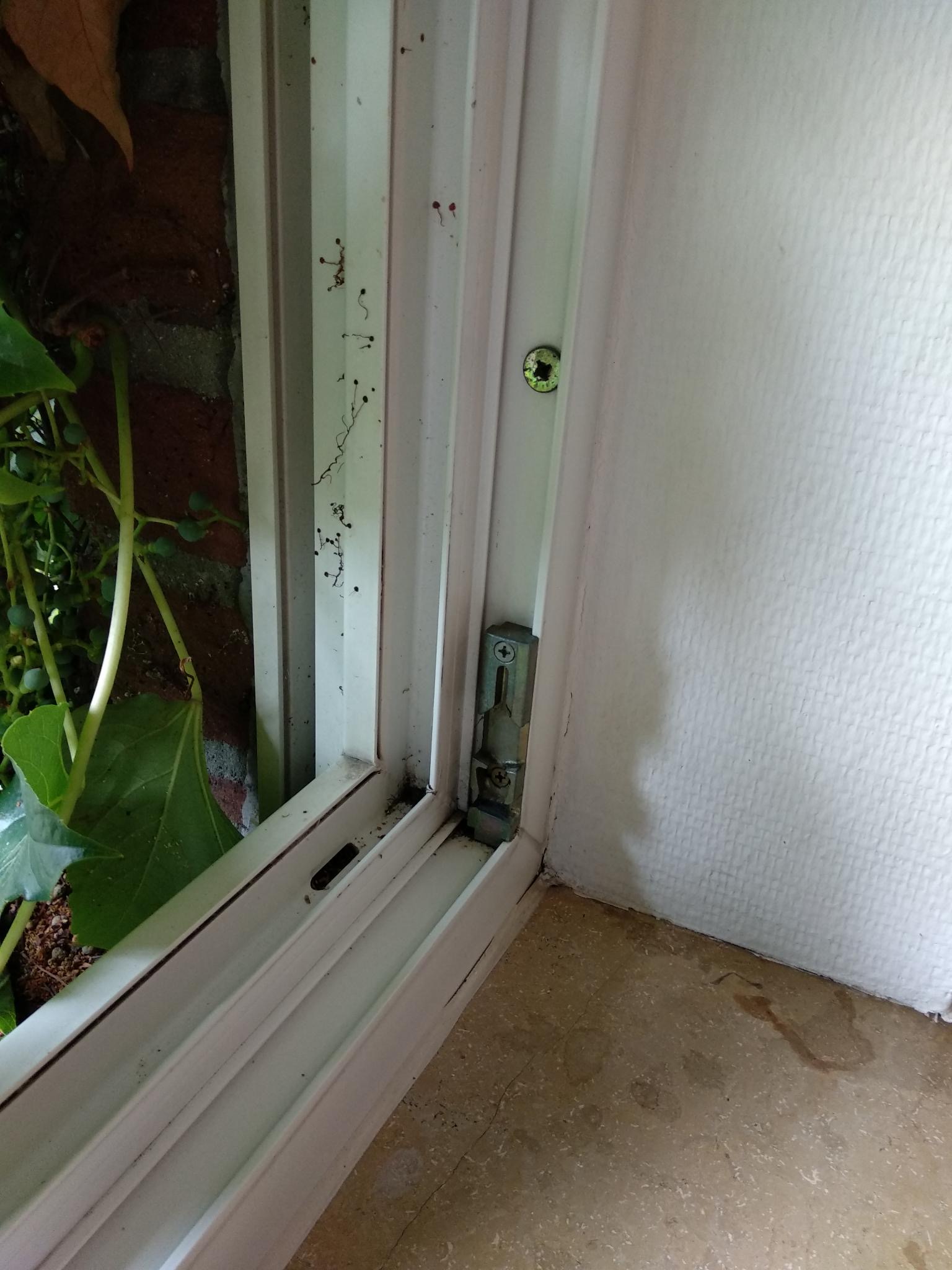 haus-von-1988-sanieren-fenster-und-haustuere-595625-4.jpeg