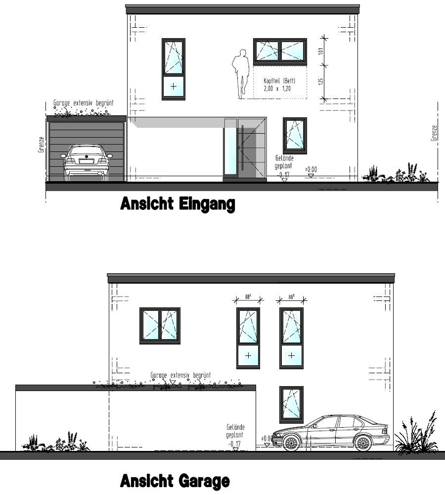 Ansicht Eingang: Zweigeschossiges Haus mit Garage links, Türfront, Fenster, Garten.