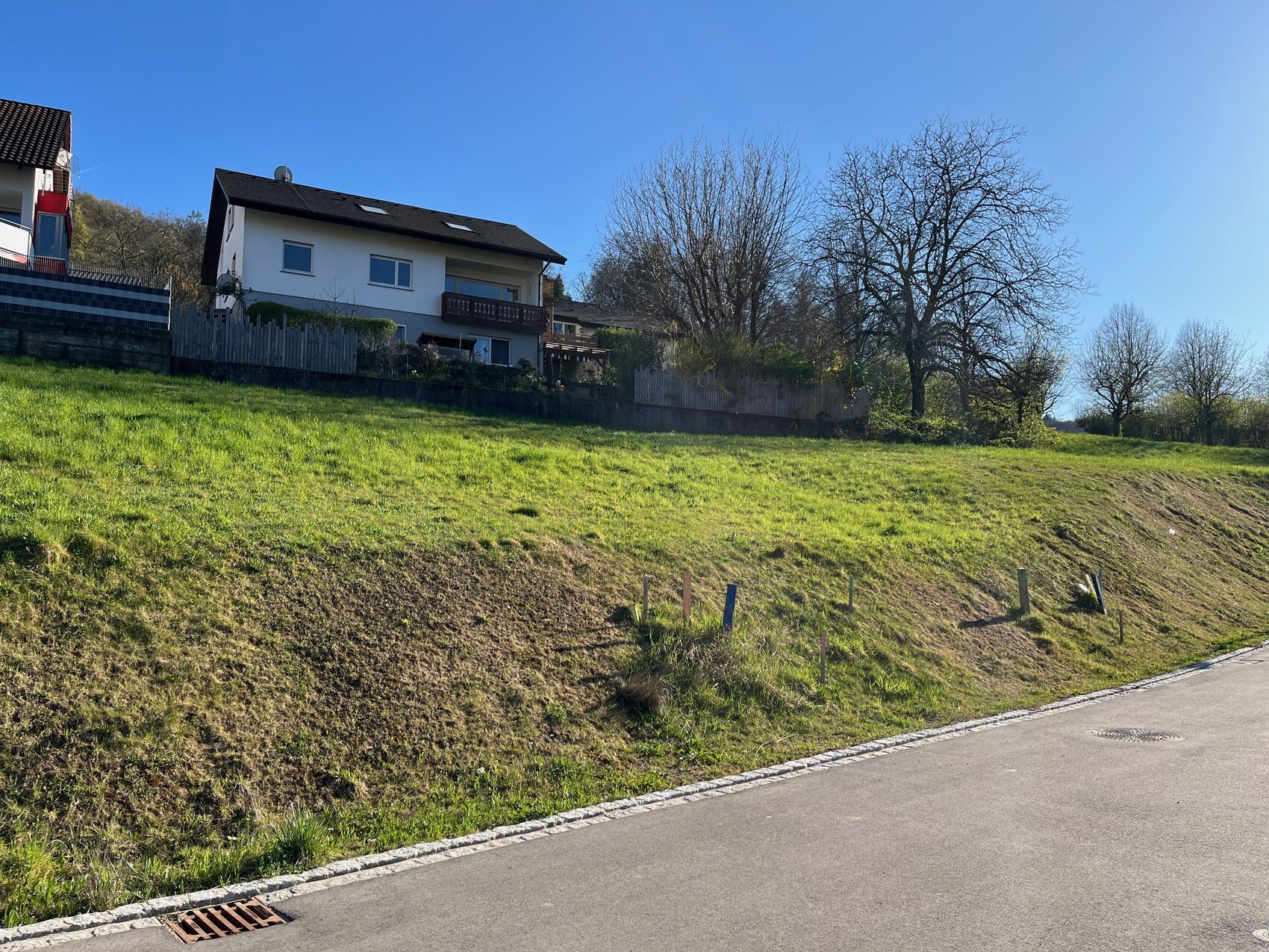 Freistehendes Haus am Hang mit grünem Garten und Bäumen am Straßenrand