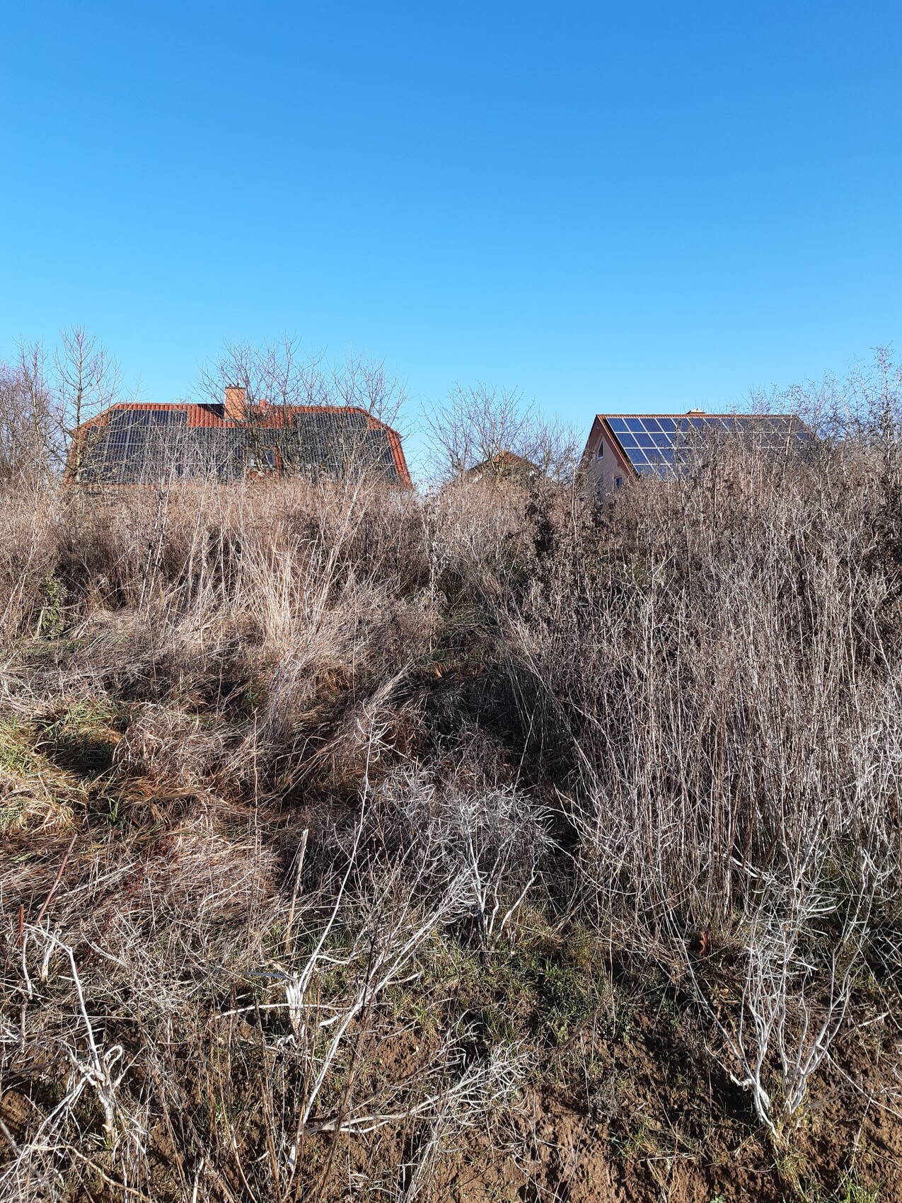 Zwei Häuser auf einem Hang, eines mit Solarpanelen; kahles Gebüsch davor, blauer Himmel.