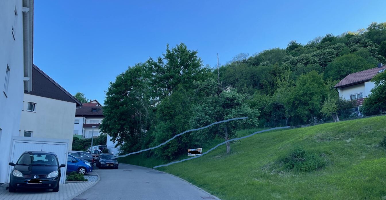 Straßenansicht eines Wohnviertels mit parkenden Autos links, grüne Wiesen und Bäume rechts.