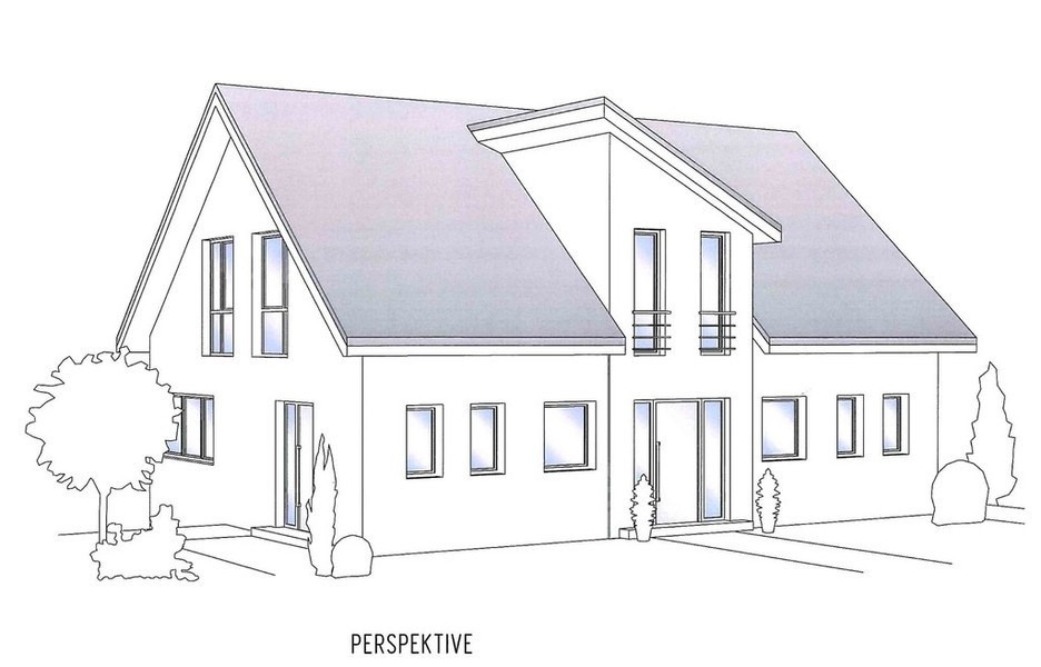 hausbau-2015-regionale-handwerker-oder-stangenware-77620-1.jpg