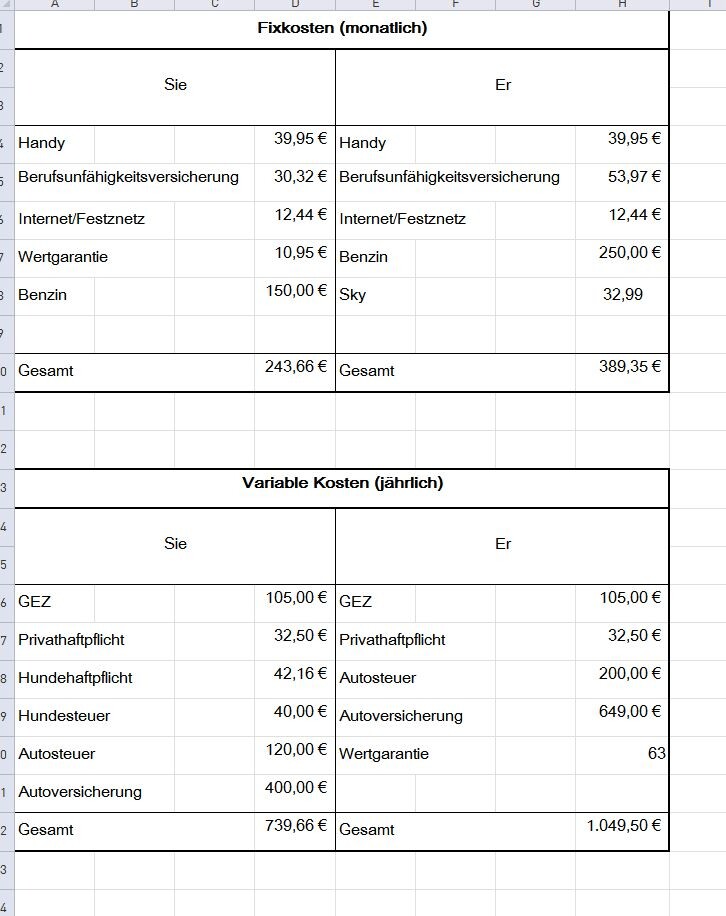 Kostenvergleich: monatliche Fixkosten und jährliche Variable Kosten für Sie und Er (Tabelle)