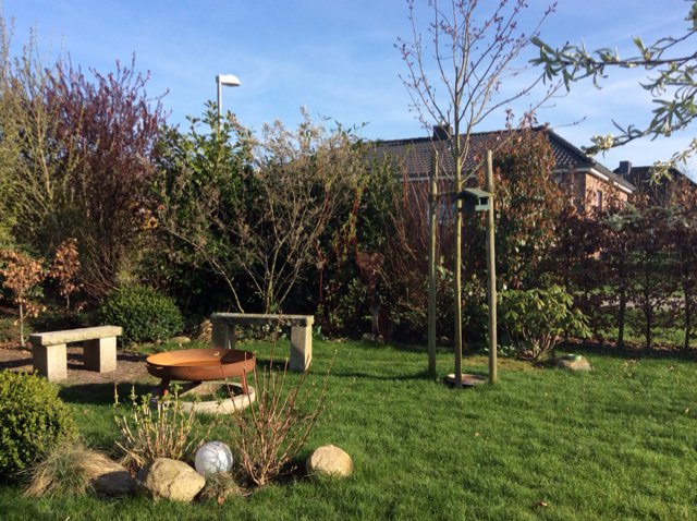 hecke-ist-weg-256100-1.jpg