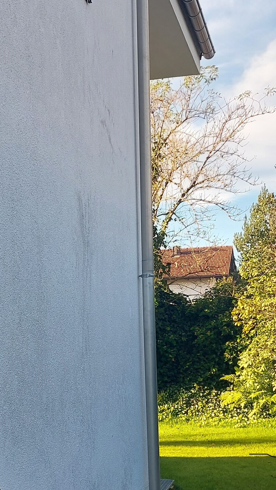 Hellblaue Hauswand mit senkrechtem Fallrohr, Baum und Garten im Hintergrund.