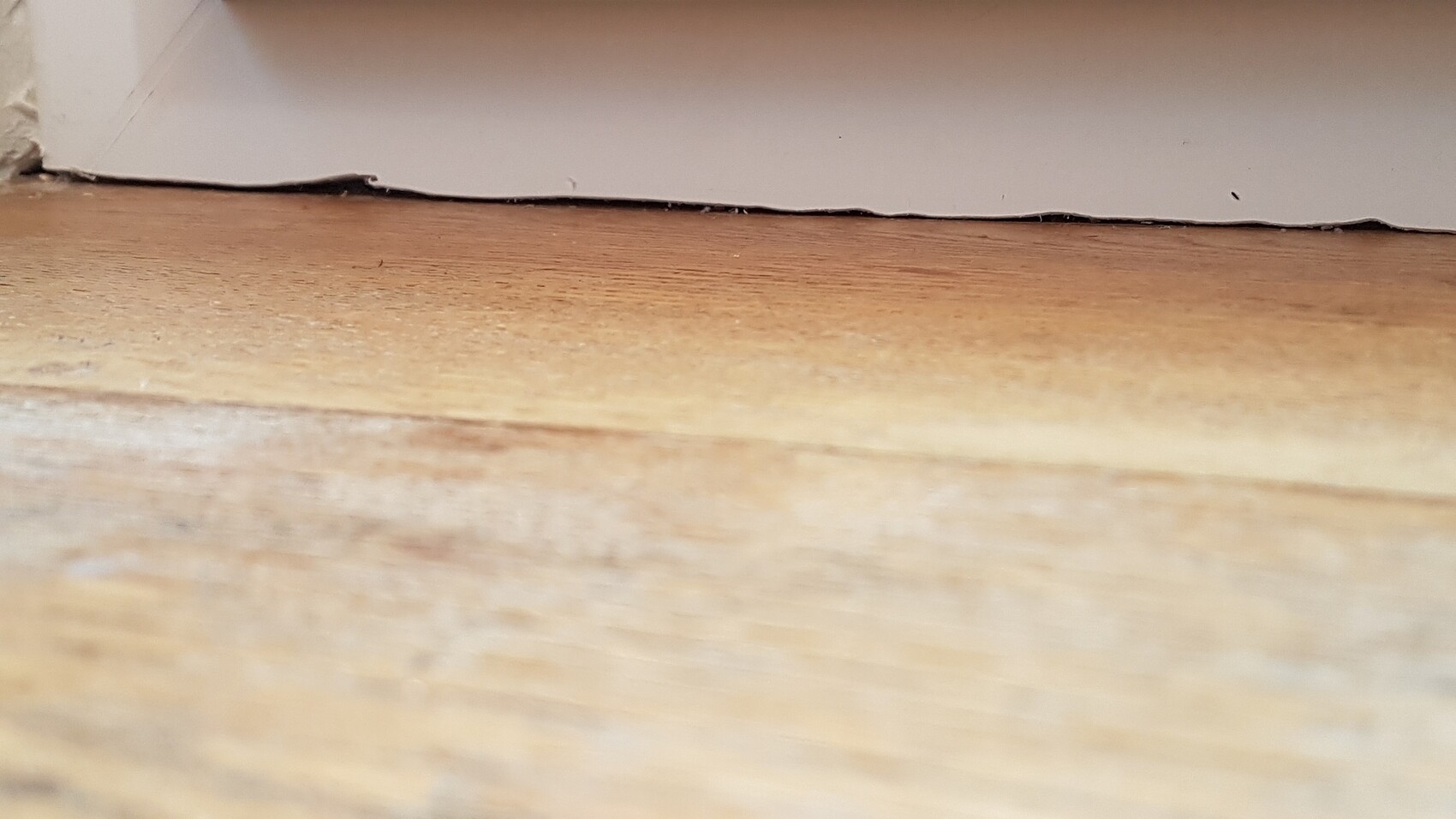 Nahaufnahme eines hellen Holzbodens mit Fußleiste im Innenbereich.