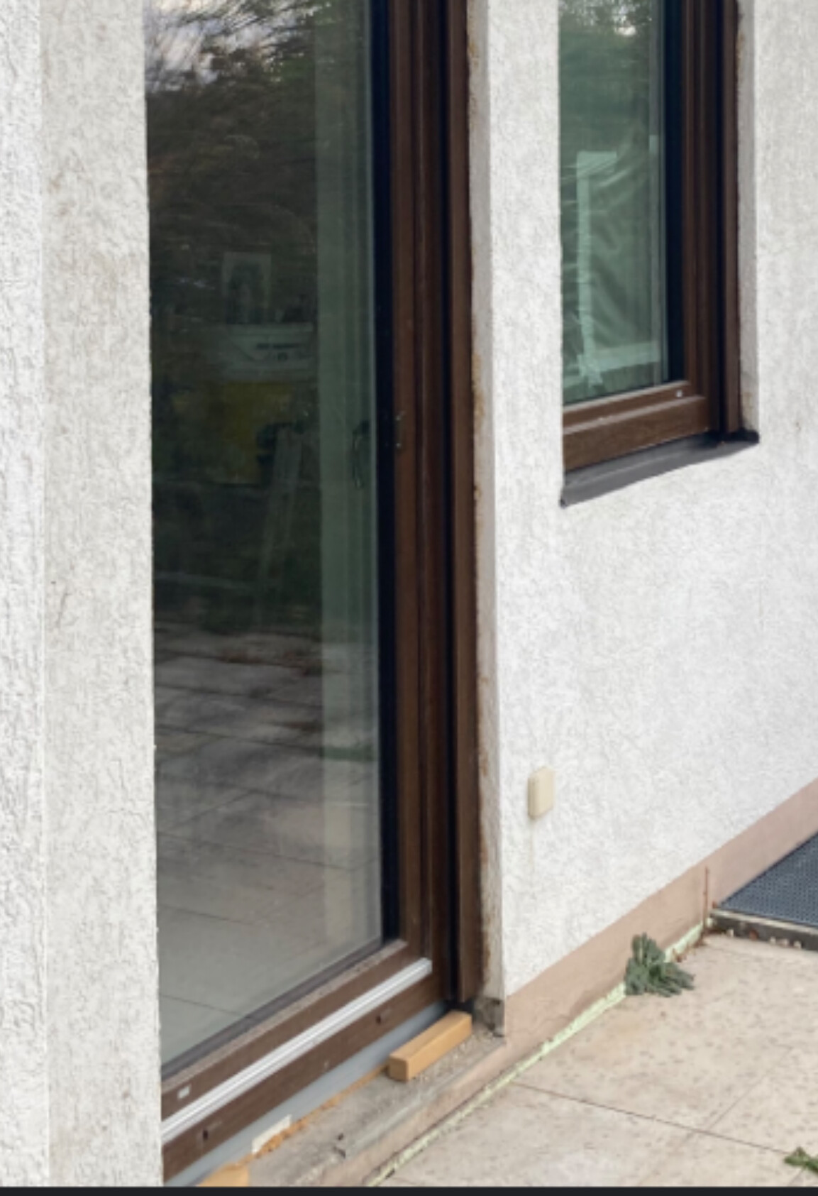 Außenansicht: Glasfront mit braunen Holzrahmen an heller Wand, Boden und Pflanze.