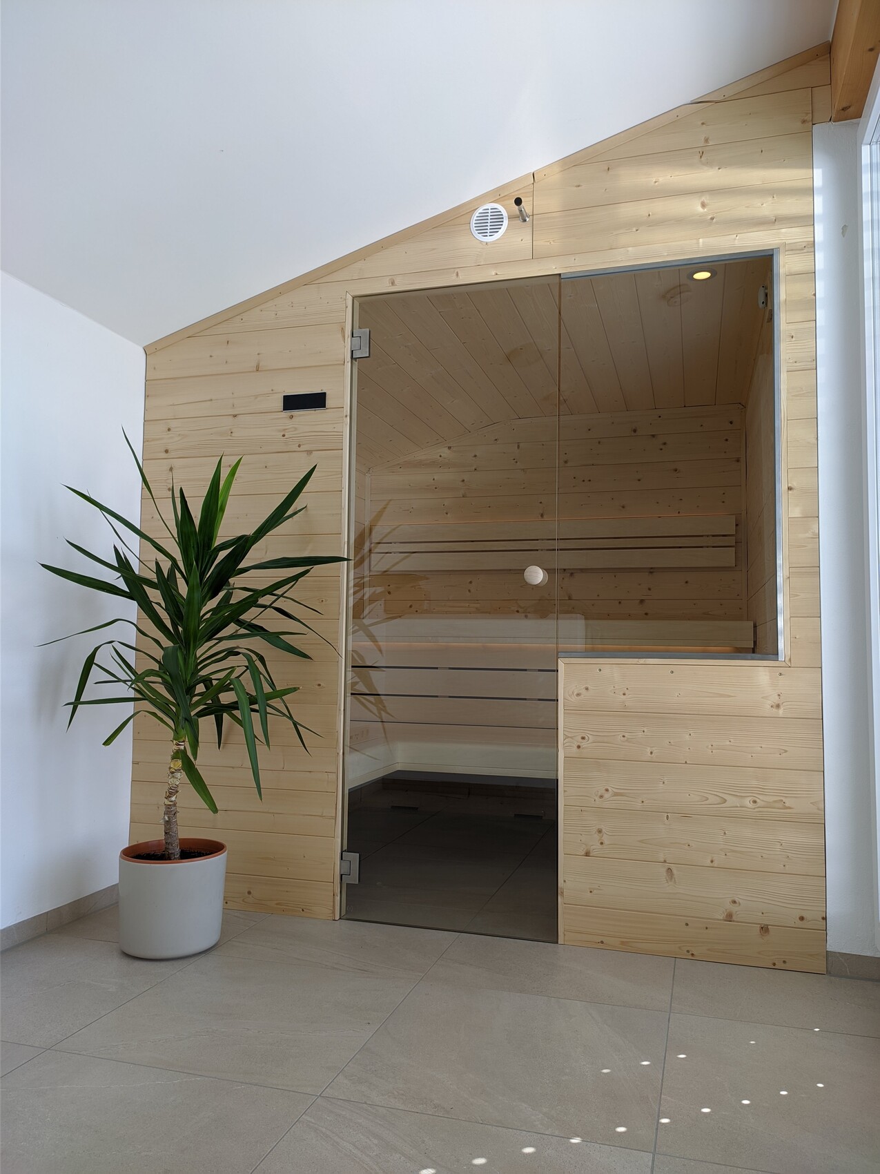 Moderne Holzsauna mit Glastür im Innenraum; daneben eine Topfpflanze.