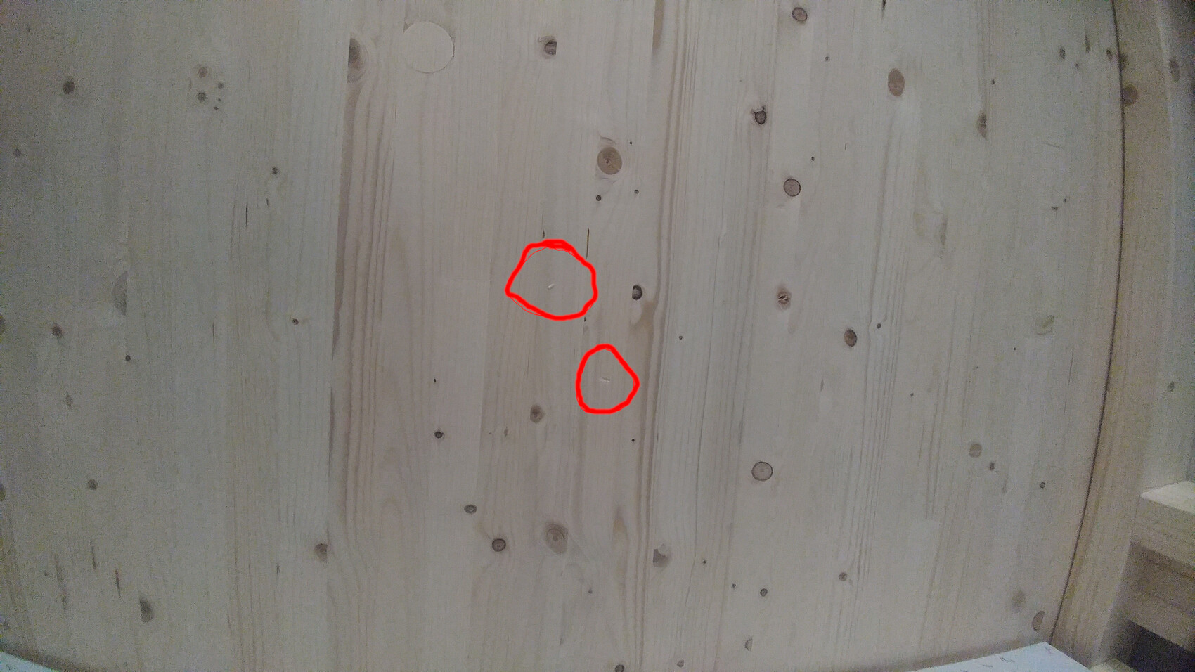 Rundes Holzbrett mit heller Maserung; zwei rote Kreise markieren Nägel in der Oberfläche.
