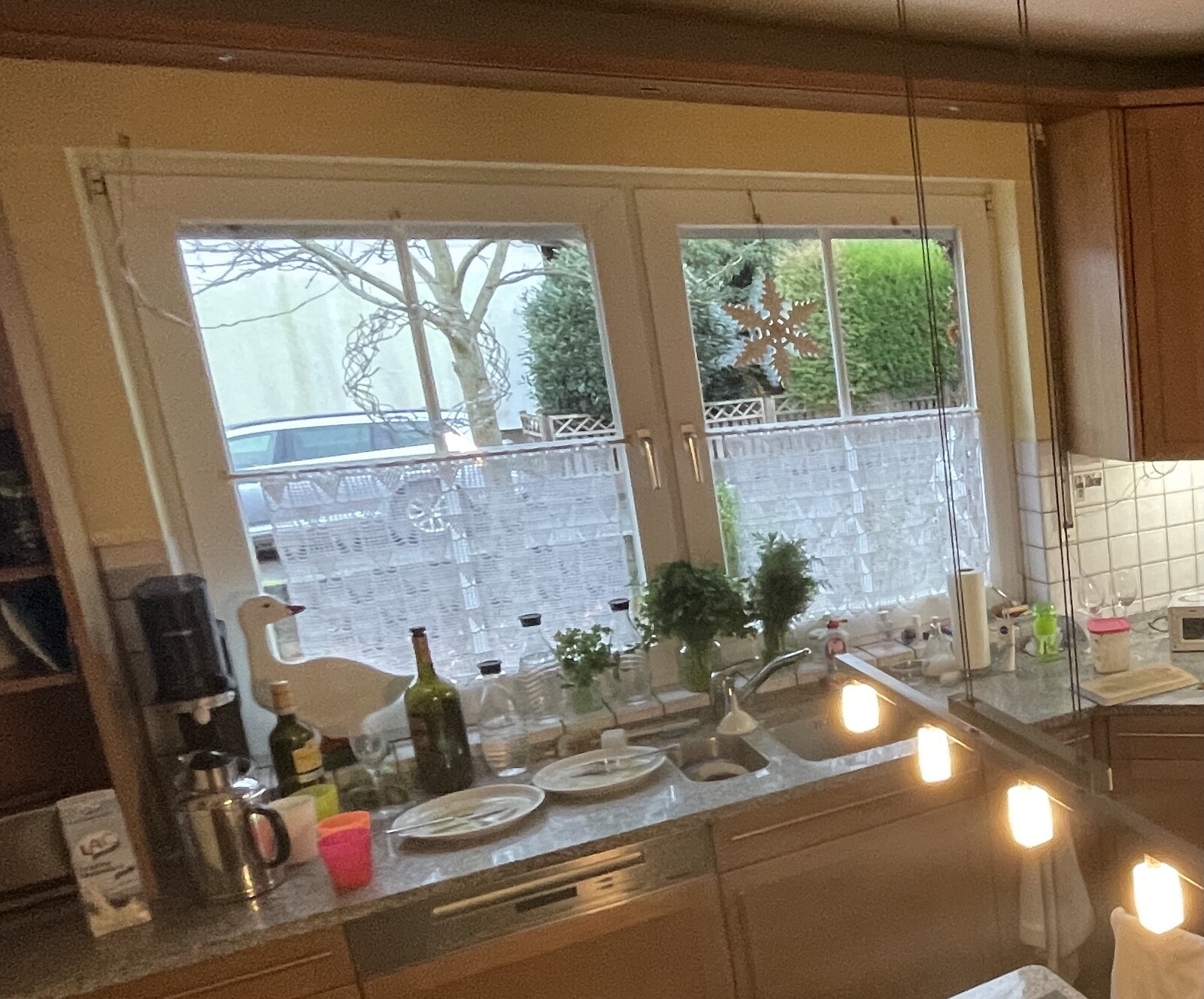 Küche mit Spüle, Teller, Flaschen, Kräutertöpfen am Fenster; Blick nach draußen.