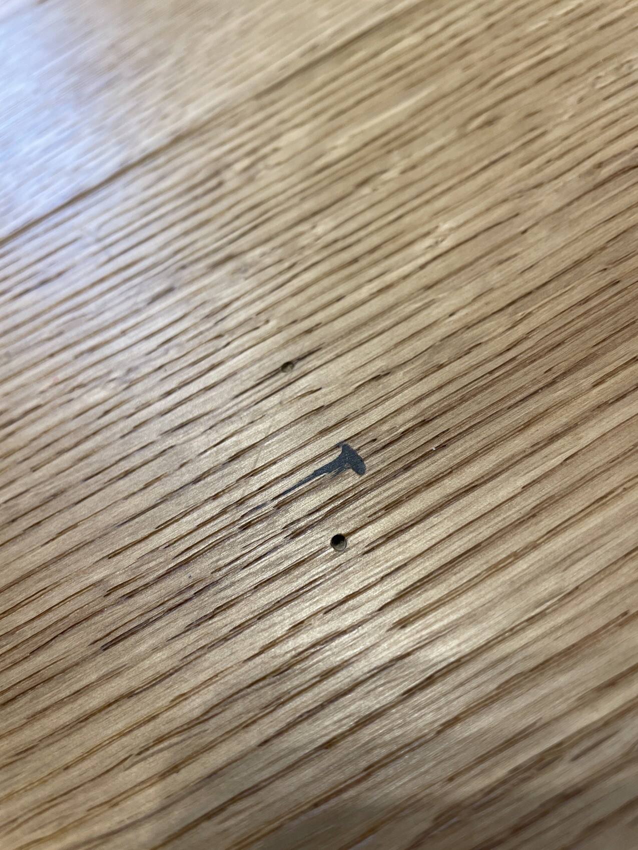 Nahaufnahme einer Holzoberfläche mit sichtbarer Maserung, kleinem Loch und blauer Markierung.