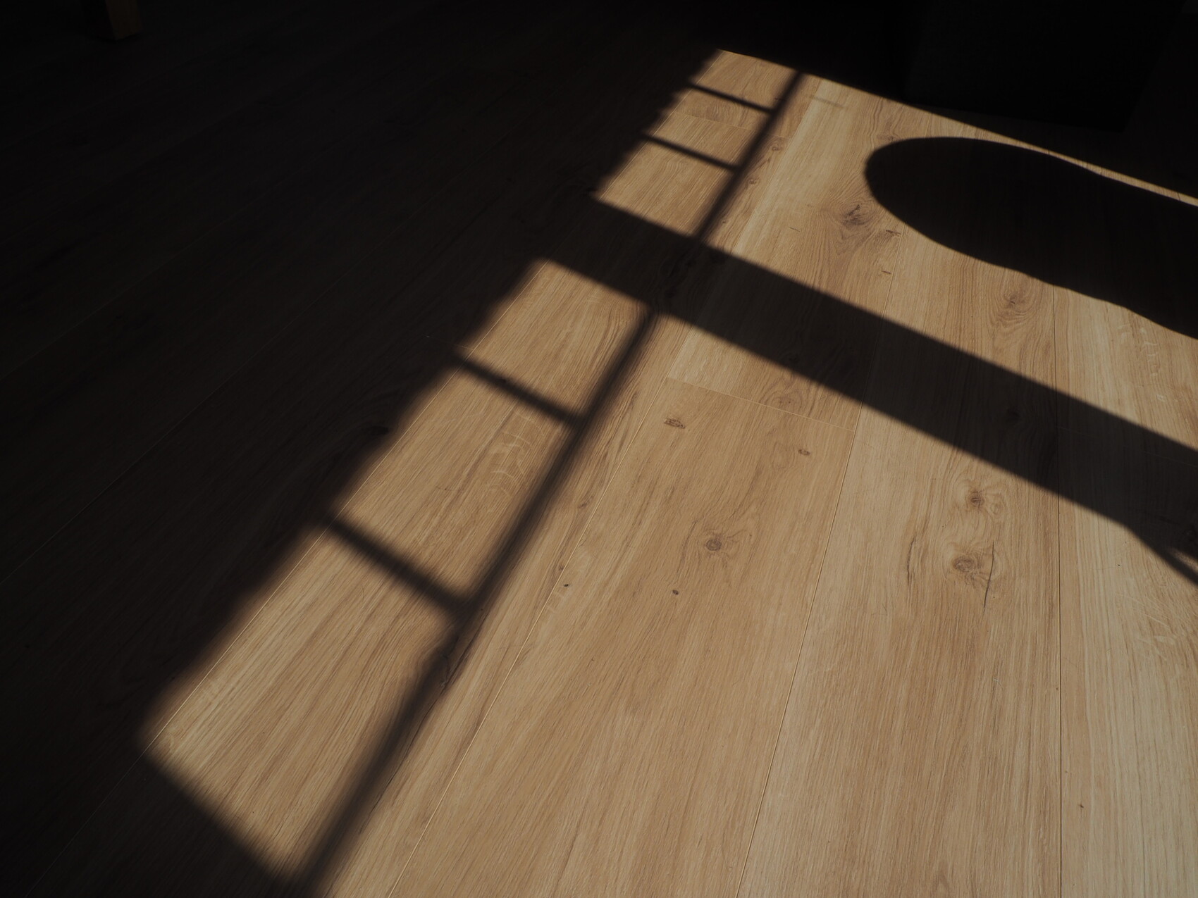 Holzboden mit Sonnenlicht und Schatten eines Fensterrahmens; rechts liegt ein ovaler Schatten.