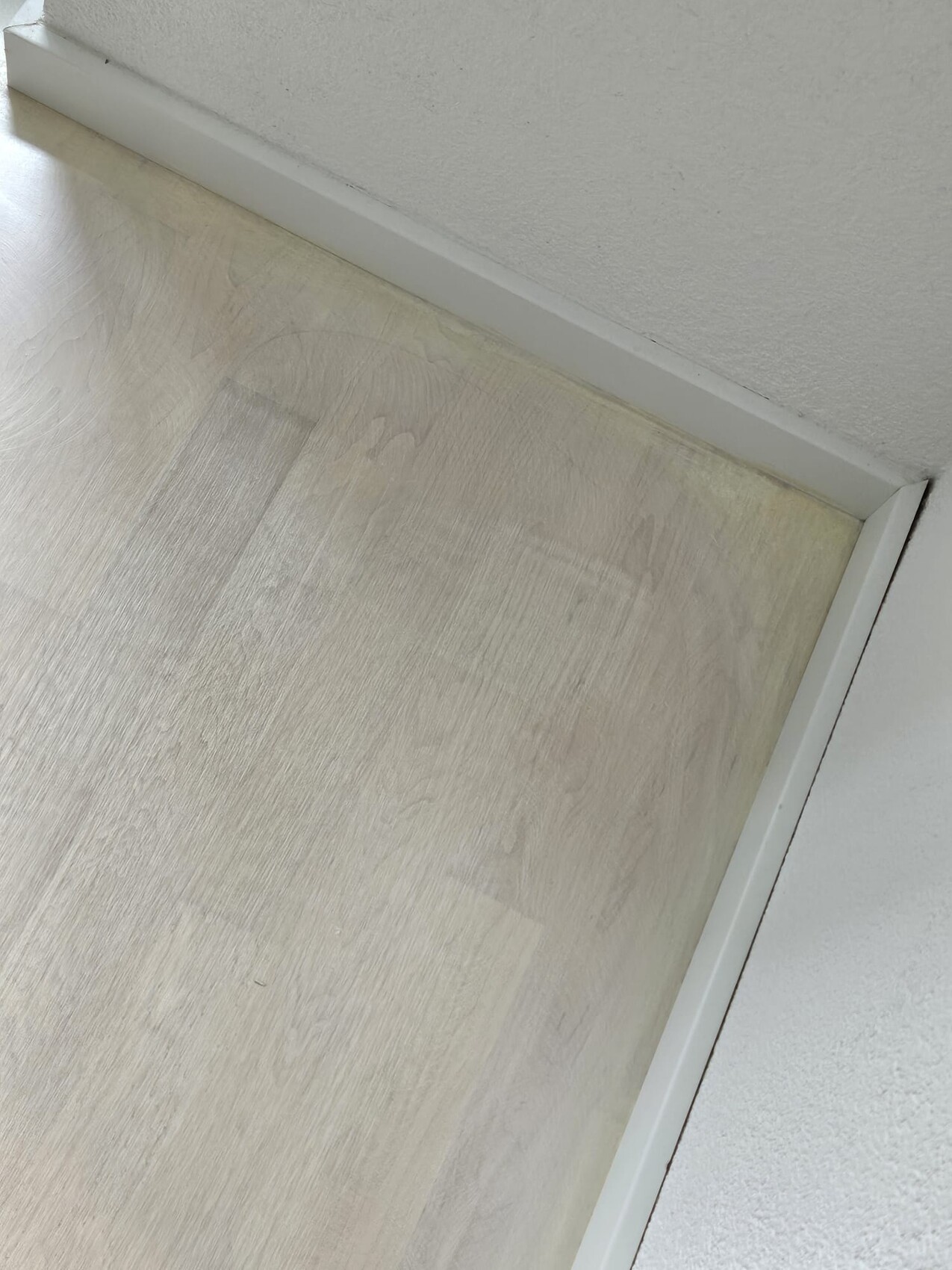 Nahaufnahme eines hellen Holz-Türblatts mit weißem Rahmen vor einer weißen Wand.