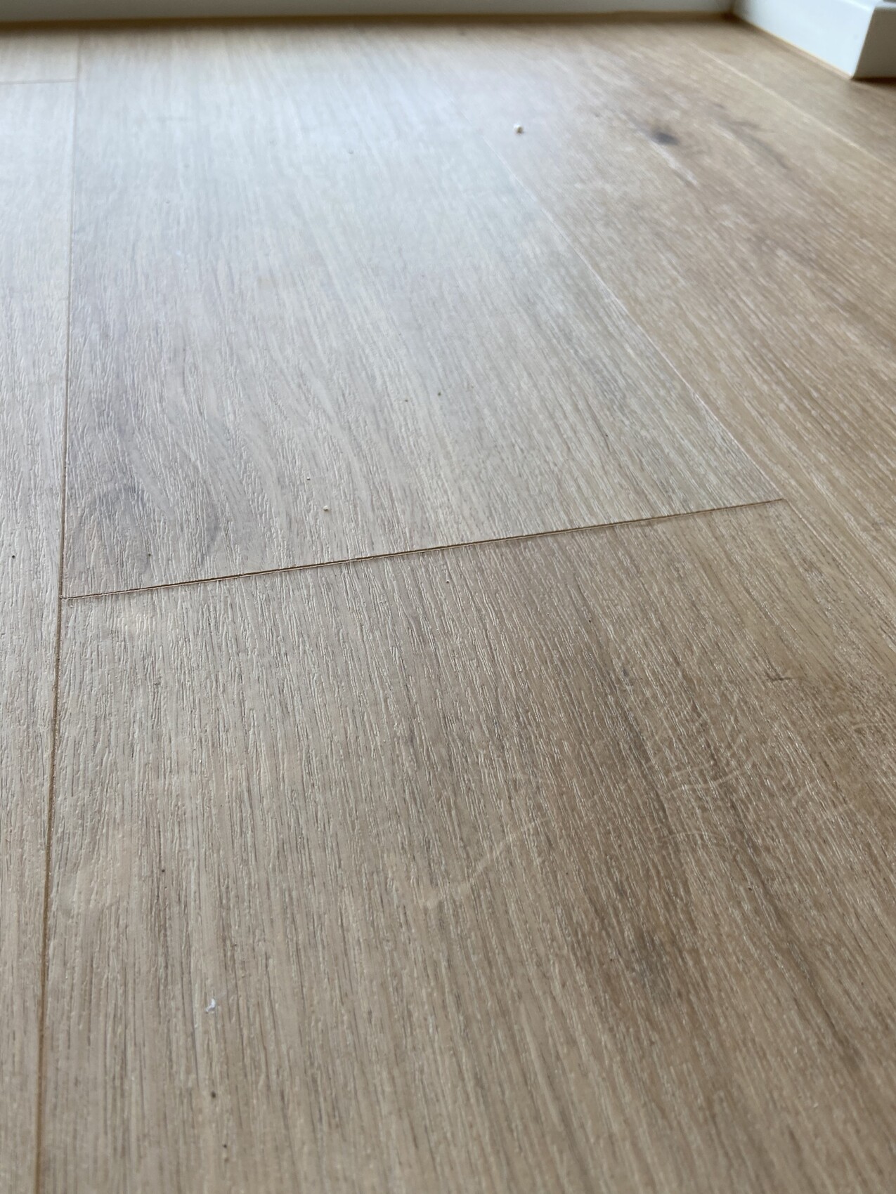 Laminateboden in Holzoptik mit sichtbaren Dielenfugen; einige Staubkörnchen.