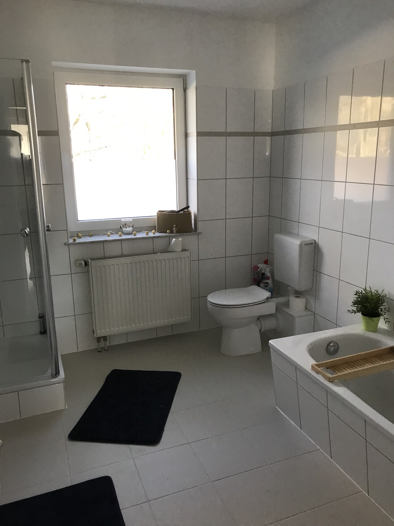Helles Badezimmer mit Dusche, Toilette, Badewanne, Fenster, Pflanze und Heizkörper.