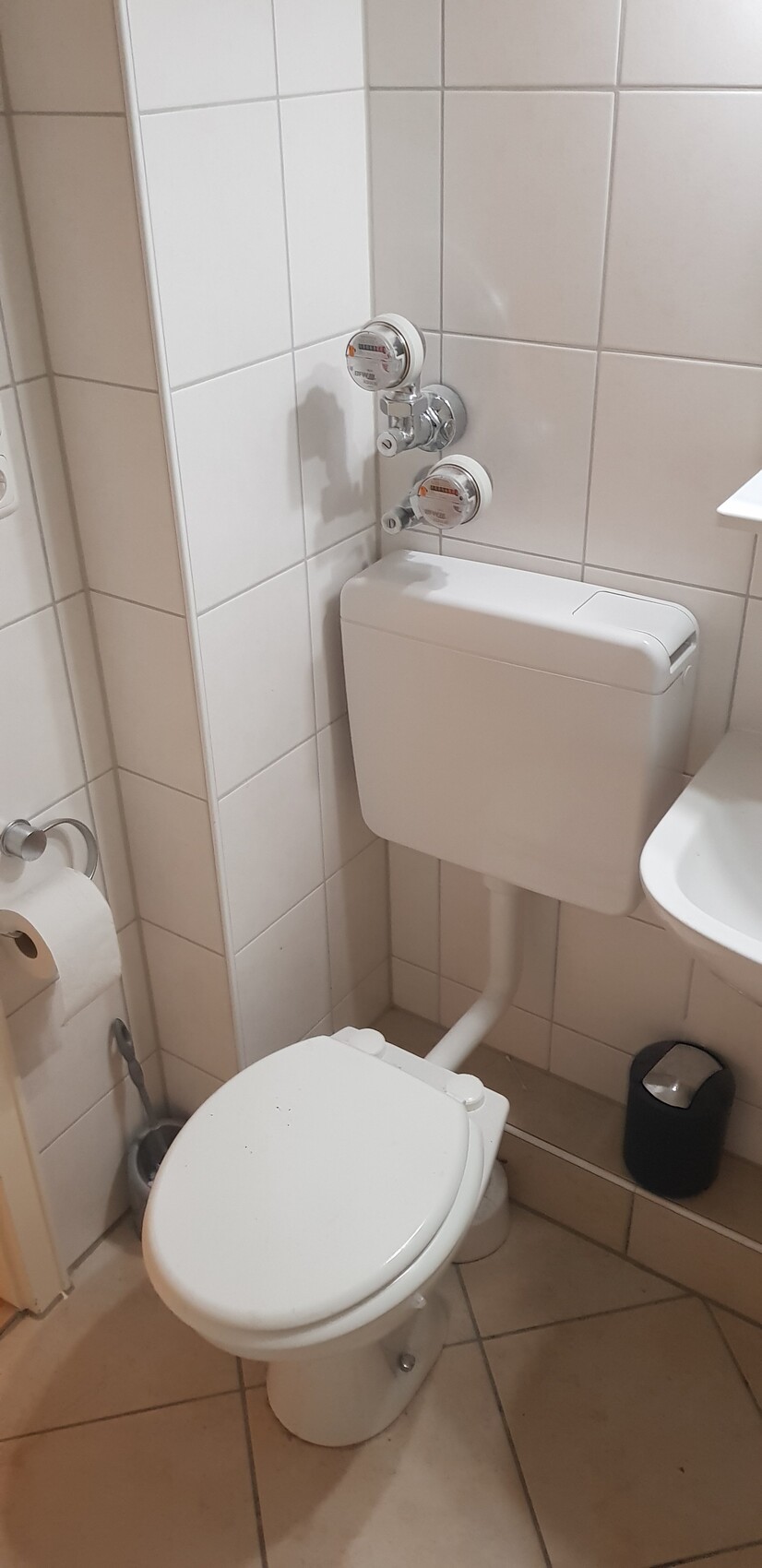 Kleines Badezimmer mit weißem Wand-WC, Spülkasten an der Wand, Waschbecken und Toilettenpapierrolle.