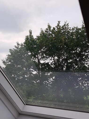 Blick durchs Dachfenster auf Baumkronen vor grauem Himmel.