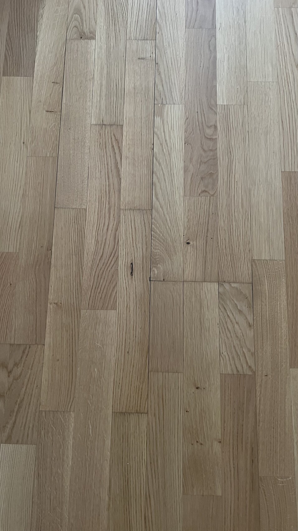 Heller Holzboden aus rechteckigen Parkettplanken mit sichtbarer Maserung.