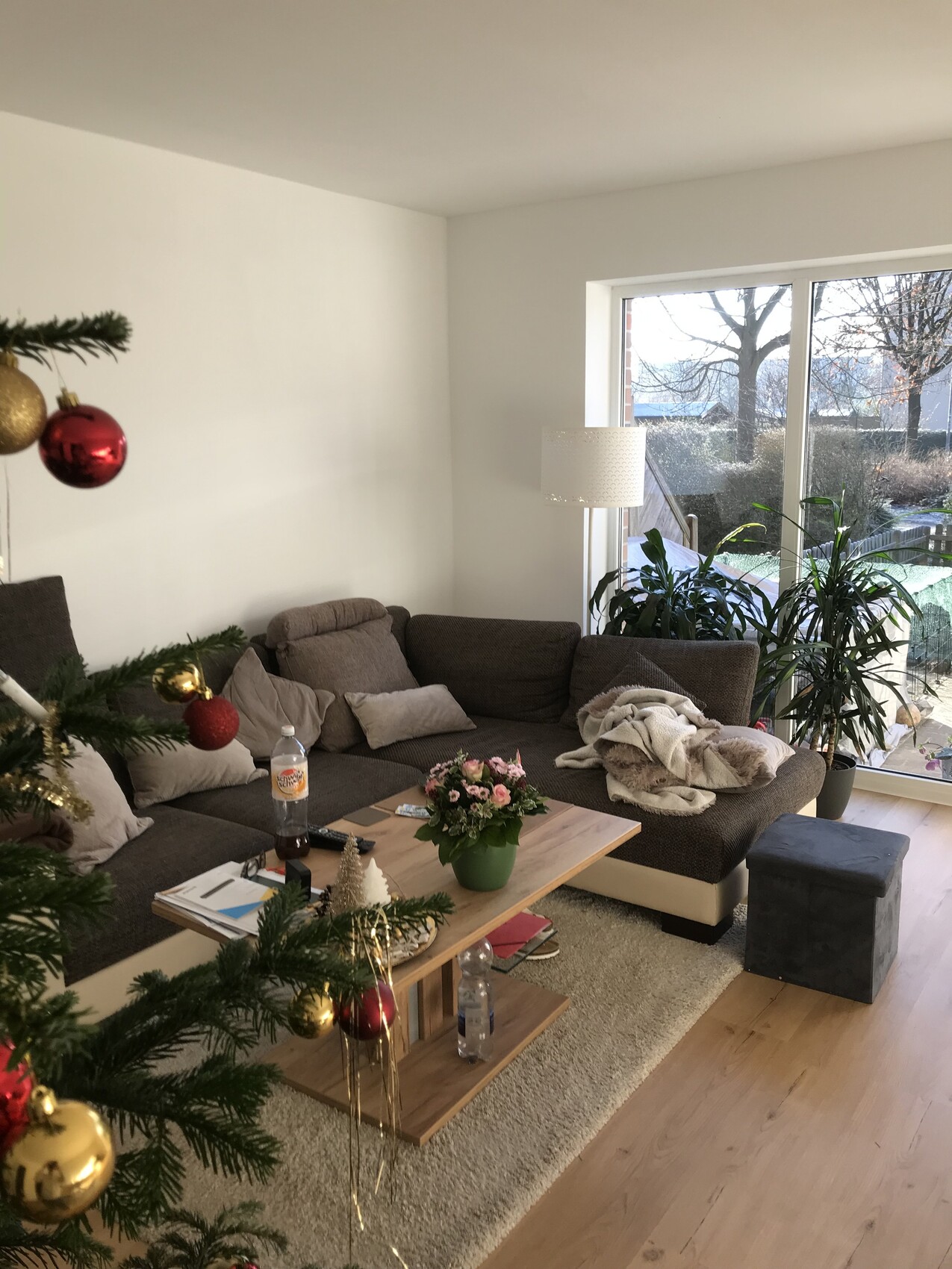 Wohnzimmer mit grauer Eckcouch, Weihnachtsbaum links, Kaffeetisch und Fensterpflanzen.
