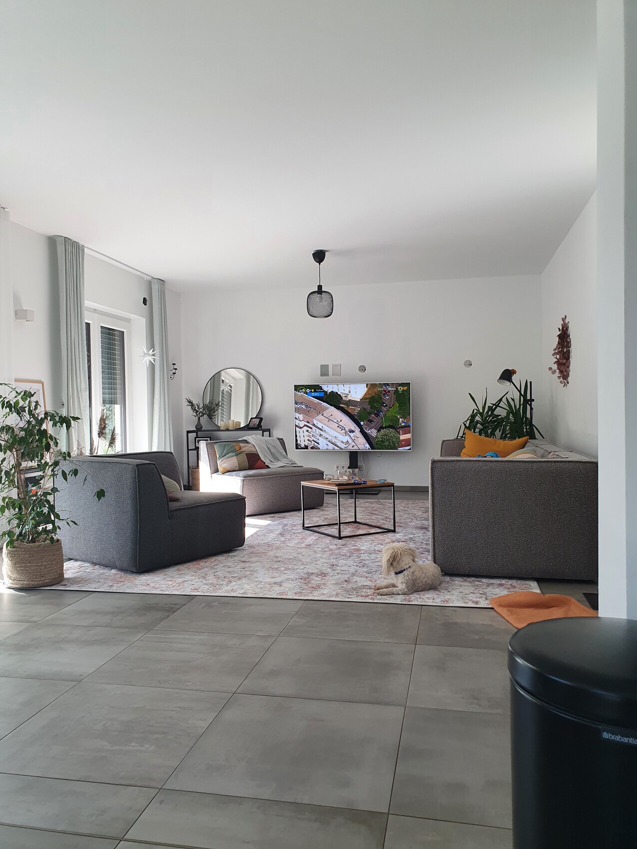 Wohnzimmer mit zwei grauen Sofas, TV, Couchtisch, Spiegel, Pflanzen; Hund sitzt auf Teppich.