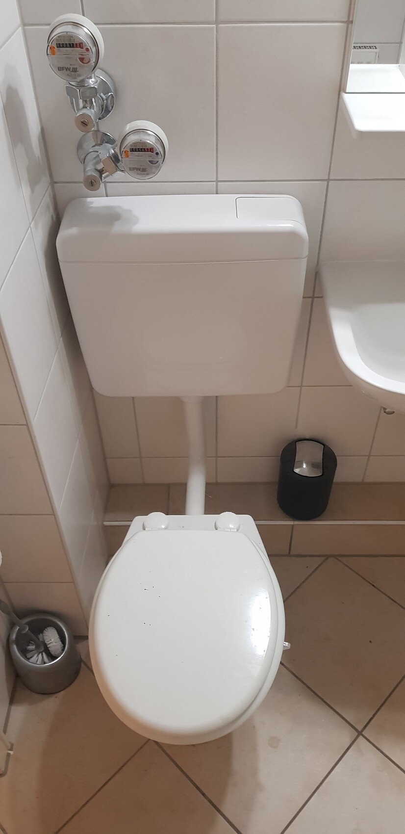 Kleines Badezimmer mit Toilette, Wand-Spülkasten, Bürste links, schwarzer Mülleimer rechts.