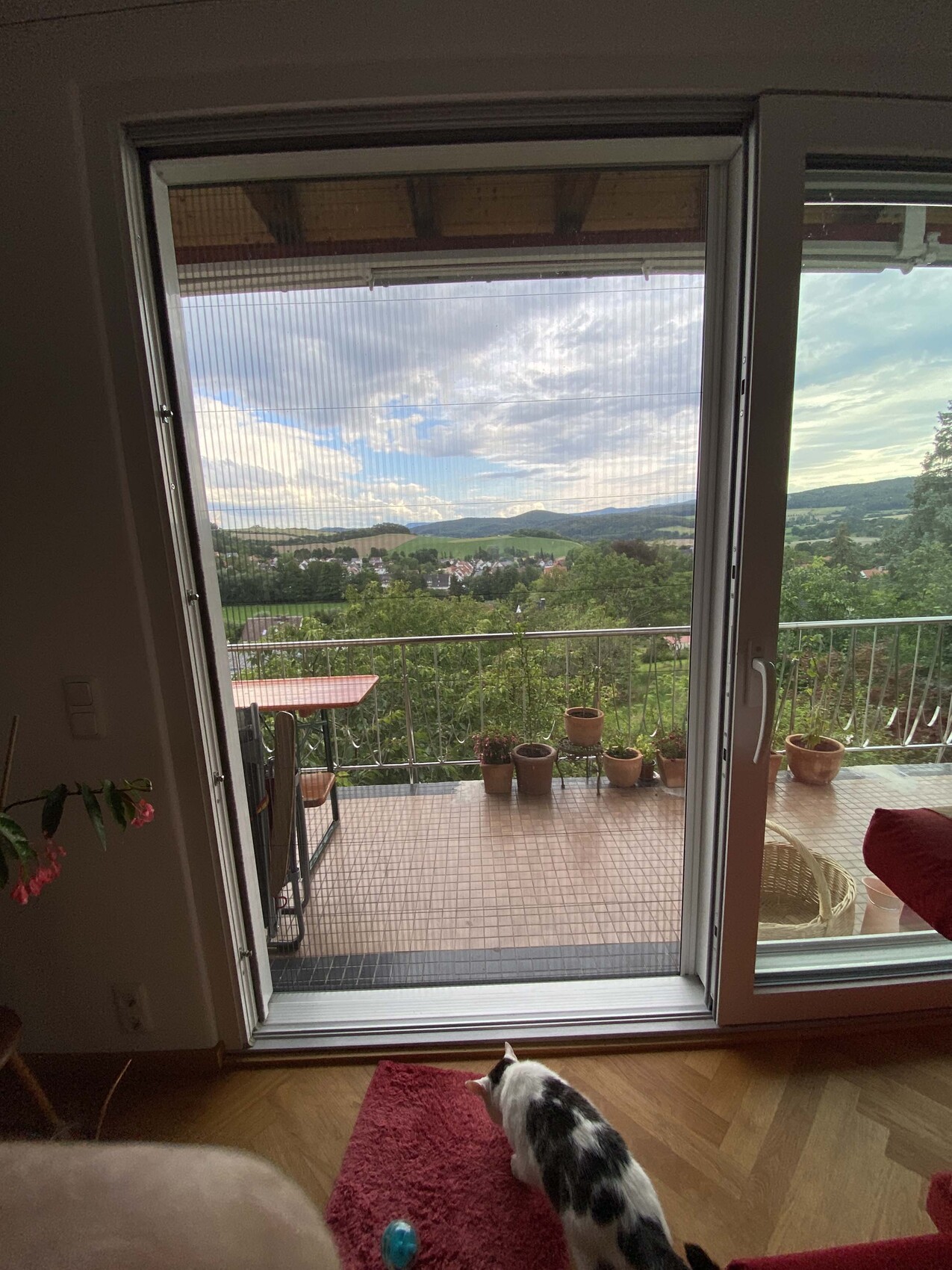 Offene Balkontür; Balkon mit Pflanzkübeln, Katze auf rotem Teppich, Blick ins grüne Hügelland.
