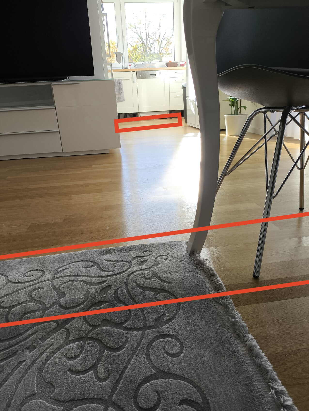 Helles Wohnzimmer mit offener Küche, Holzboden, Teppich und Stühle