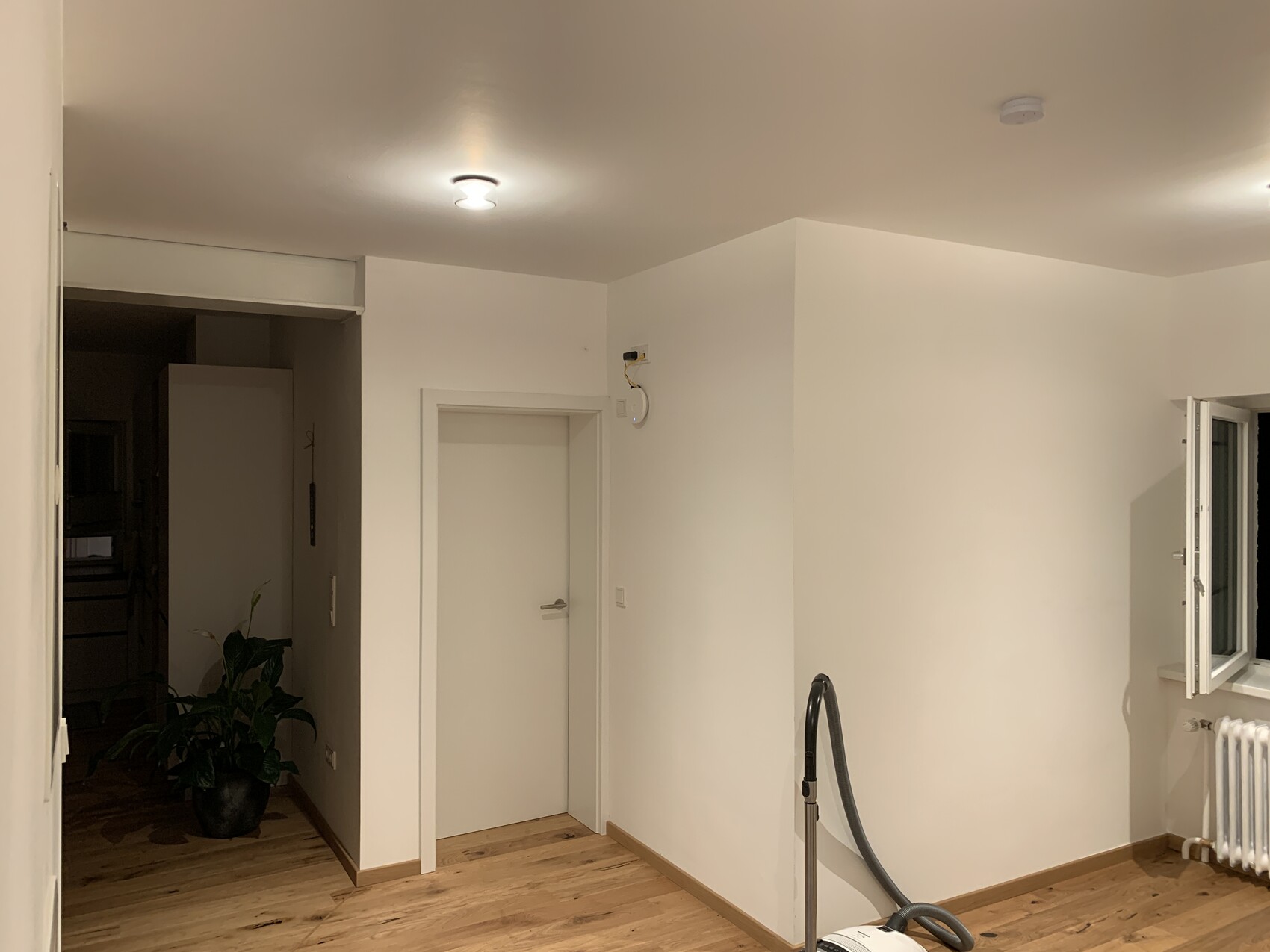 Heller Innenraum mit Holzboden, Tür, Staubsauger, Pflanze in Ecke, Fenster und Heizkörper