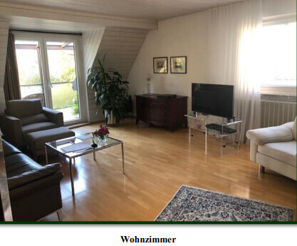 Helles Wohnzimmer mit Sofa, Sessel, Fernseher, Pflanze und Teppich vor Fensterfront