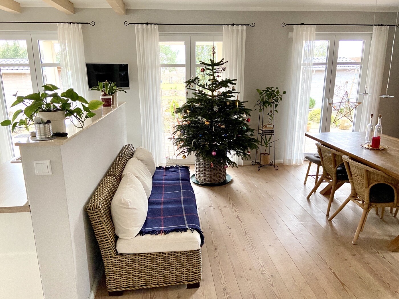 Zentraler Weihnachtsbaum im Wohnzimmer, Sofa links, viele Pflanzen, Esstisch rechts.