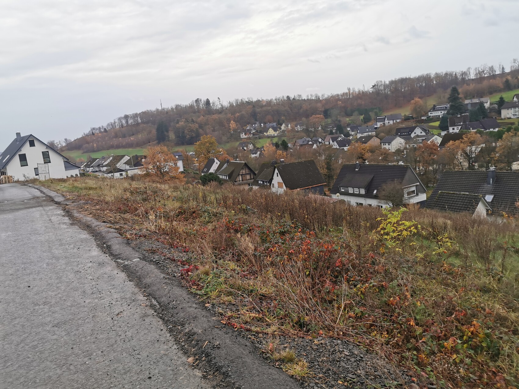 Herbstliche Dorfansicht mit Häusern auf Hügeln und Straße im Vordergrund.