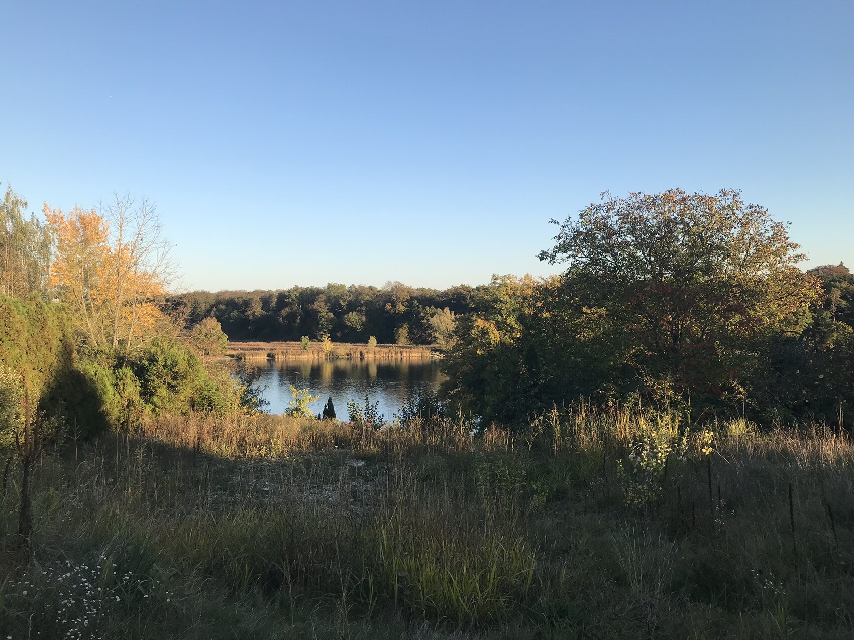 Herbstliche Landschaft am See mit Bäumen und Gras im Vordergrund