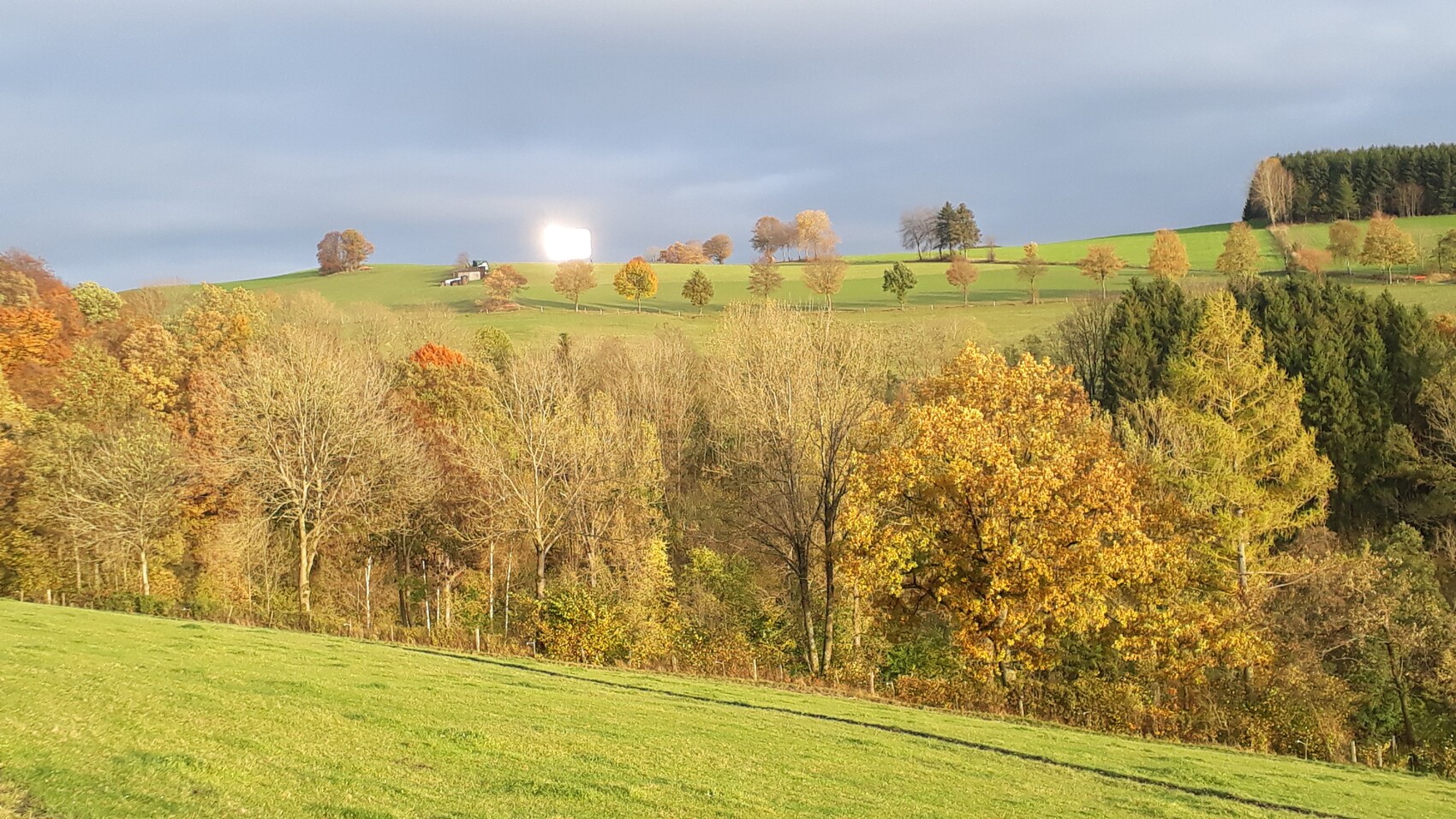 Herbstliche Hügellandschaft mit bunten Bäumen, grünen Wiesen und Wald im Vordergrund.