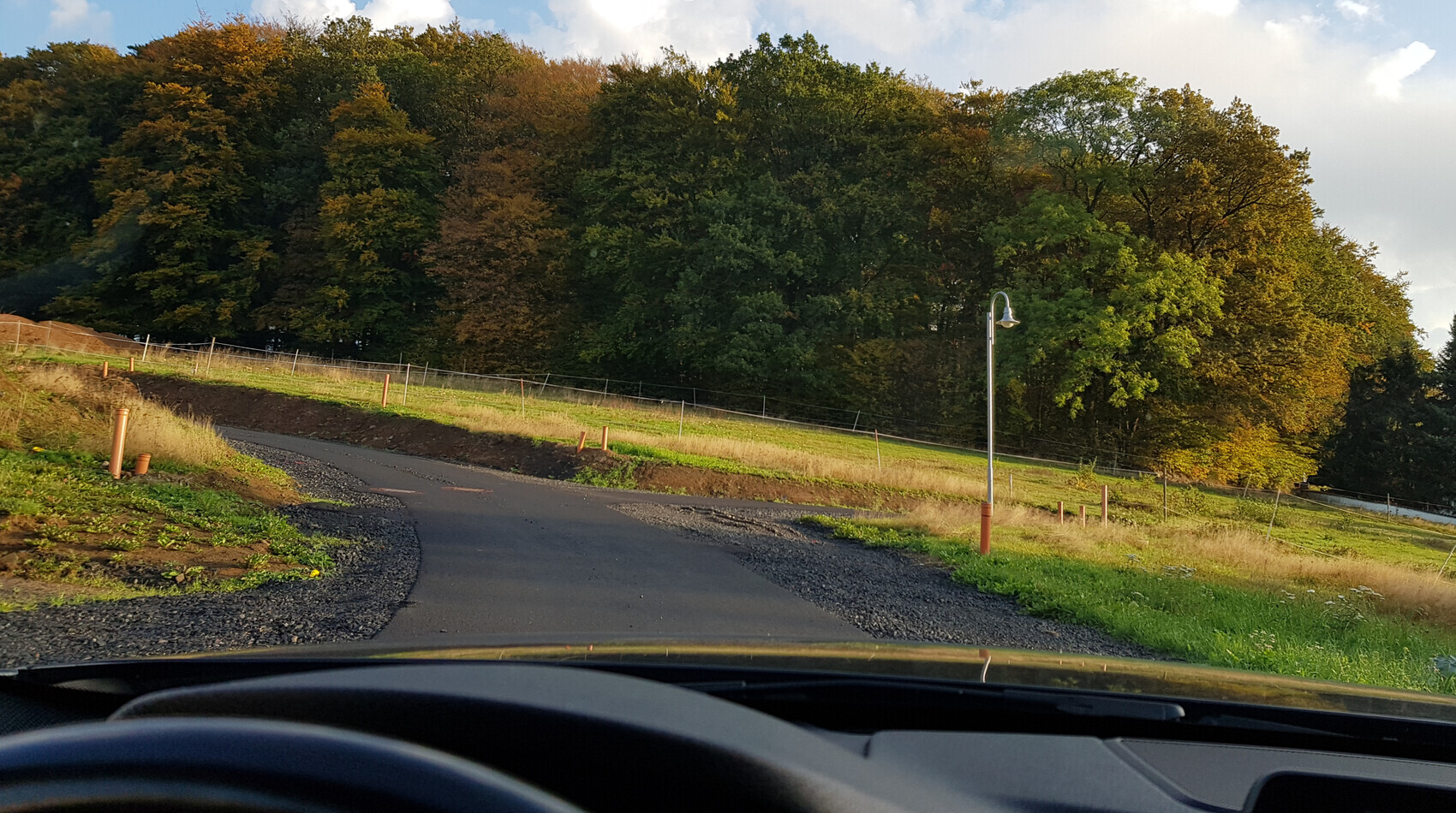 Blick aus dem Auto auf eine kurvige Straße, Grasflächen, Laterne rechts, Wald im Hintergrund.