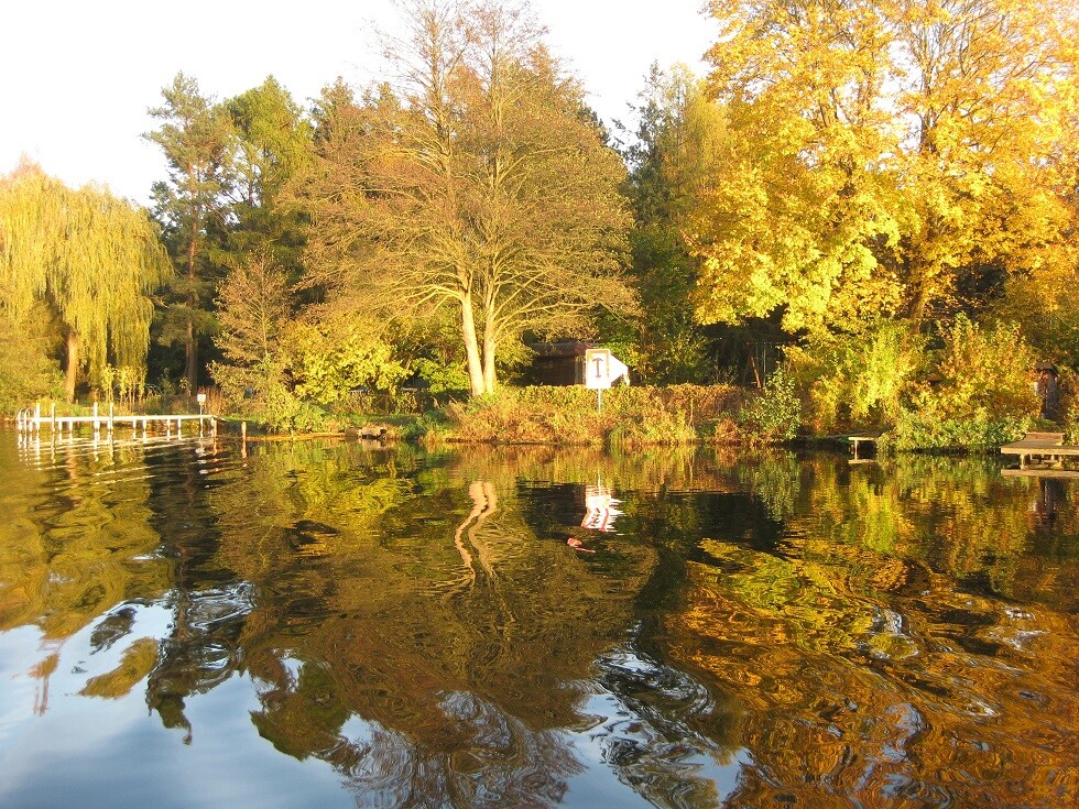 Uferbereich mit Bäumen am ruhigen See, Reflektionen im Wasser und Steg am Ufer.